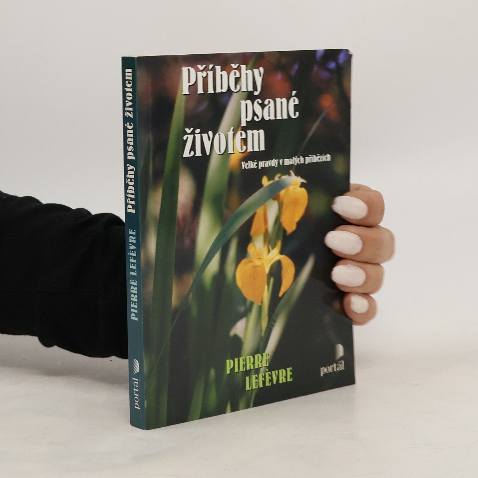 Pierre Lefèvre Příběhy psané životem. Velké pravdy v malých příbězích