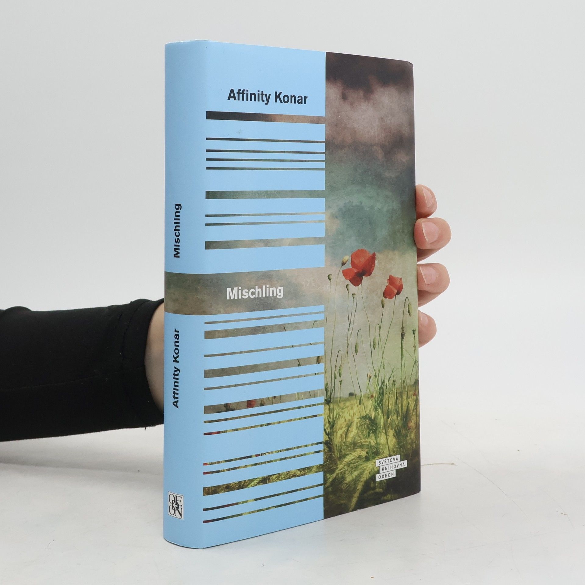 Affinity Konar Mischling