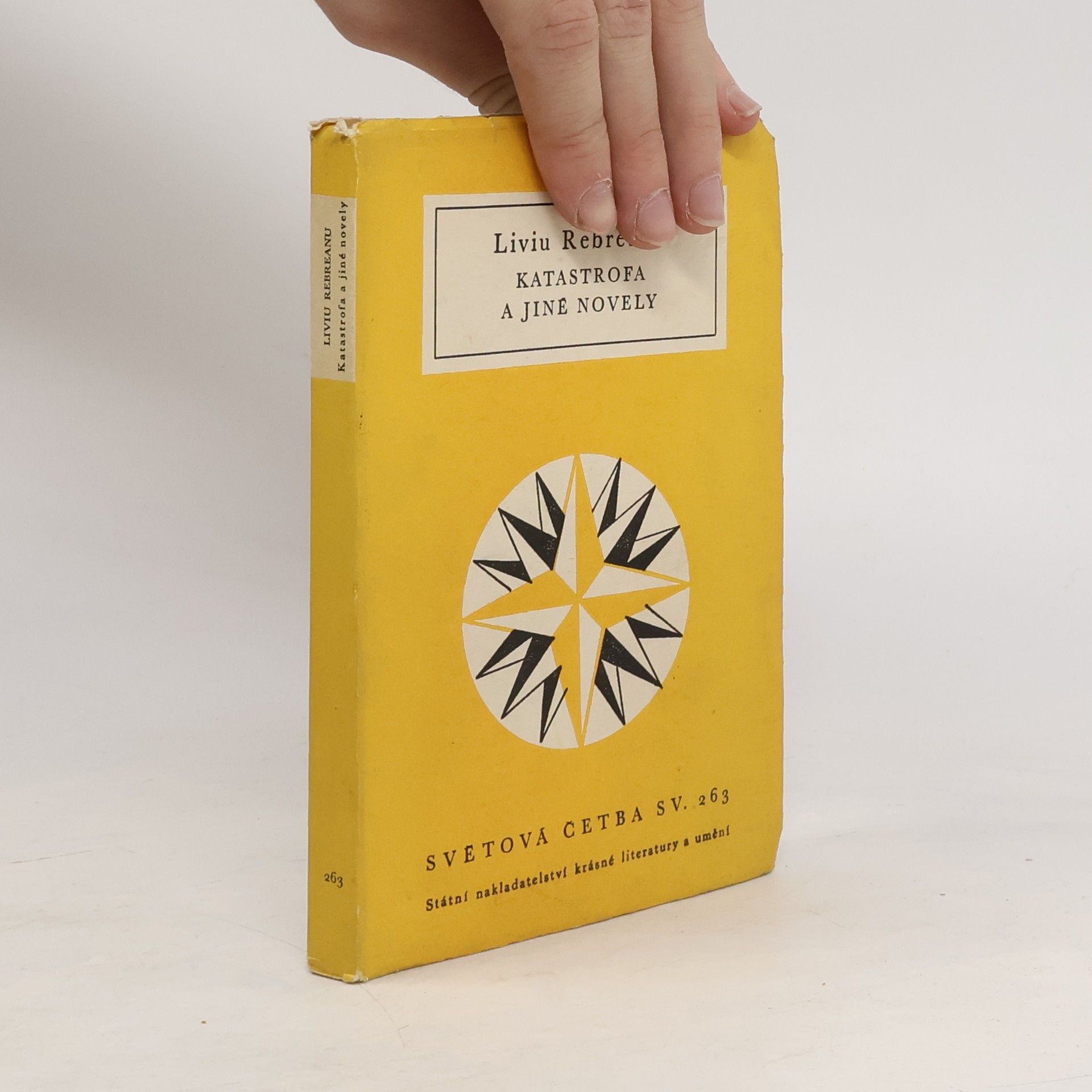 Katastrofa a jiné novely