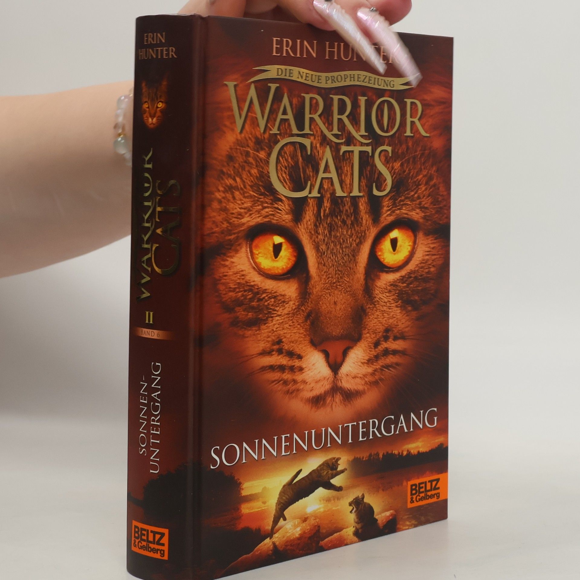 Erin Hunter Warrior Cats: Die neue Prophezeiung. Sonnenuntergang: II,6