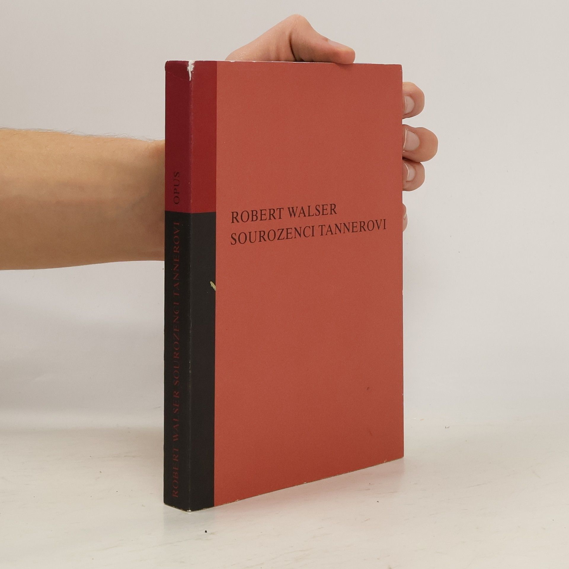 Robert Walser Sourozenci Tannerovi