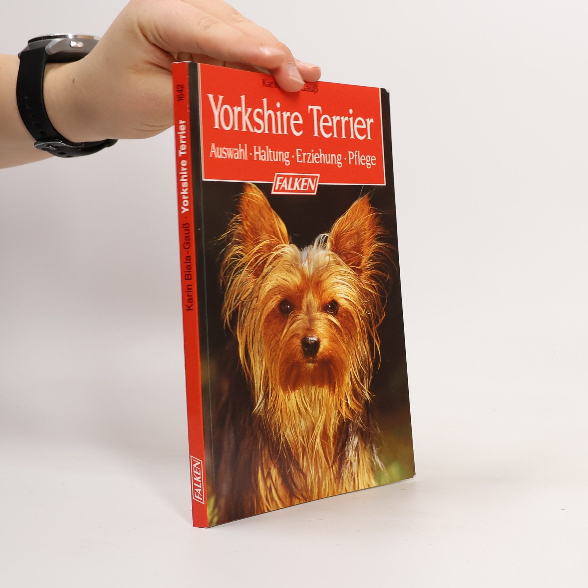 Karin Biala Gauß Yorkshire-Terrier