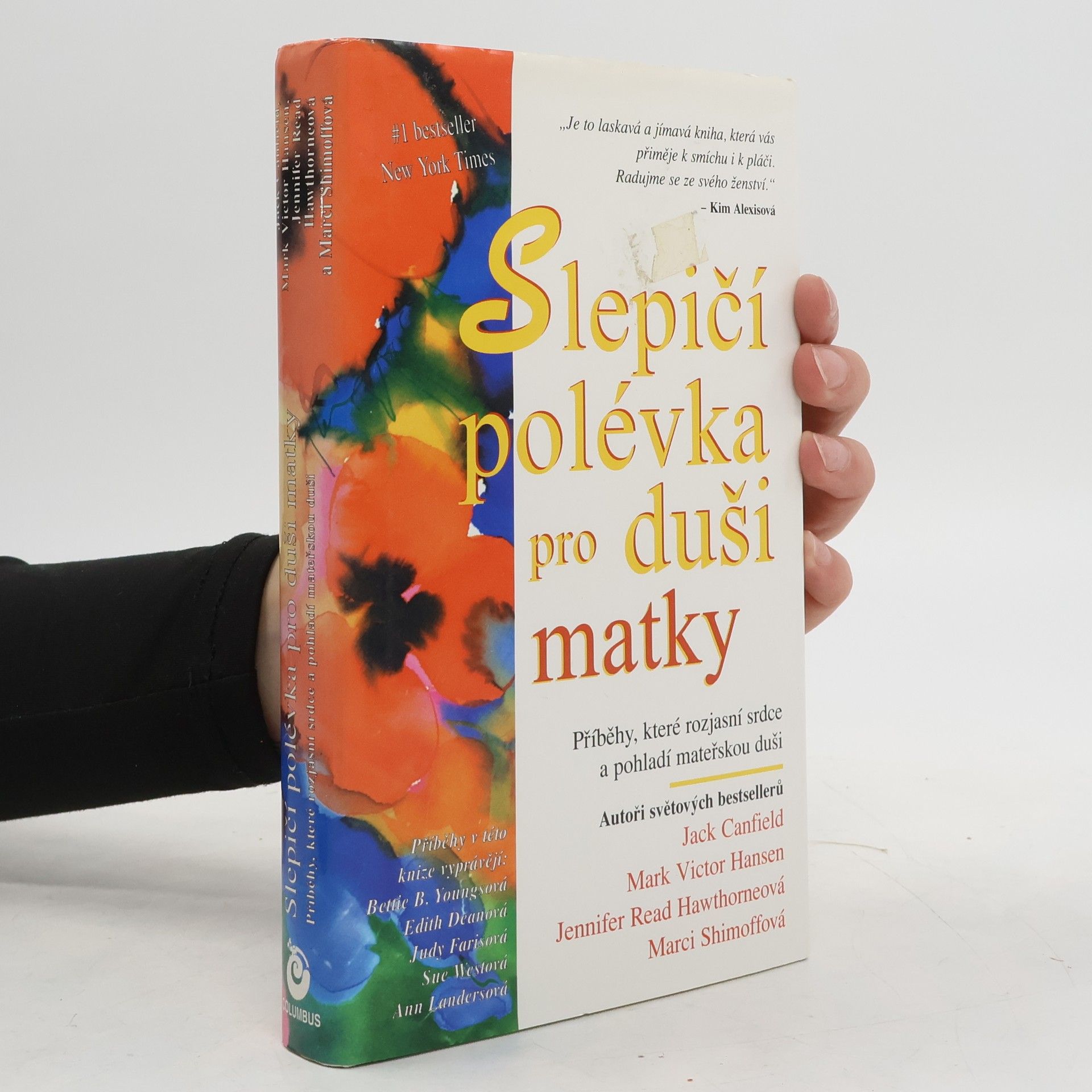 Slepičí polévka pro duši matky