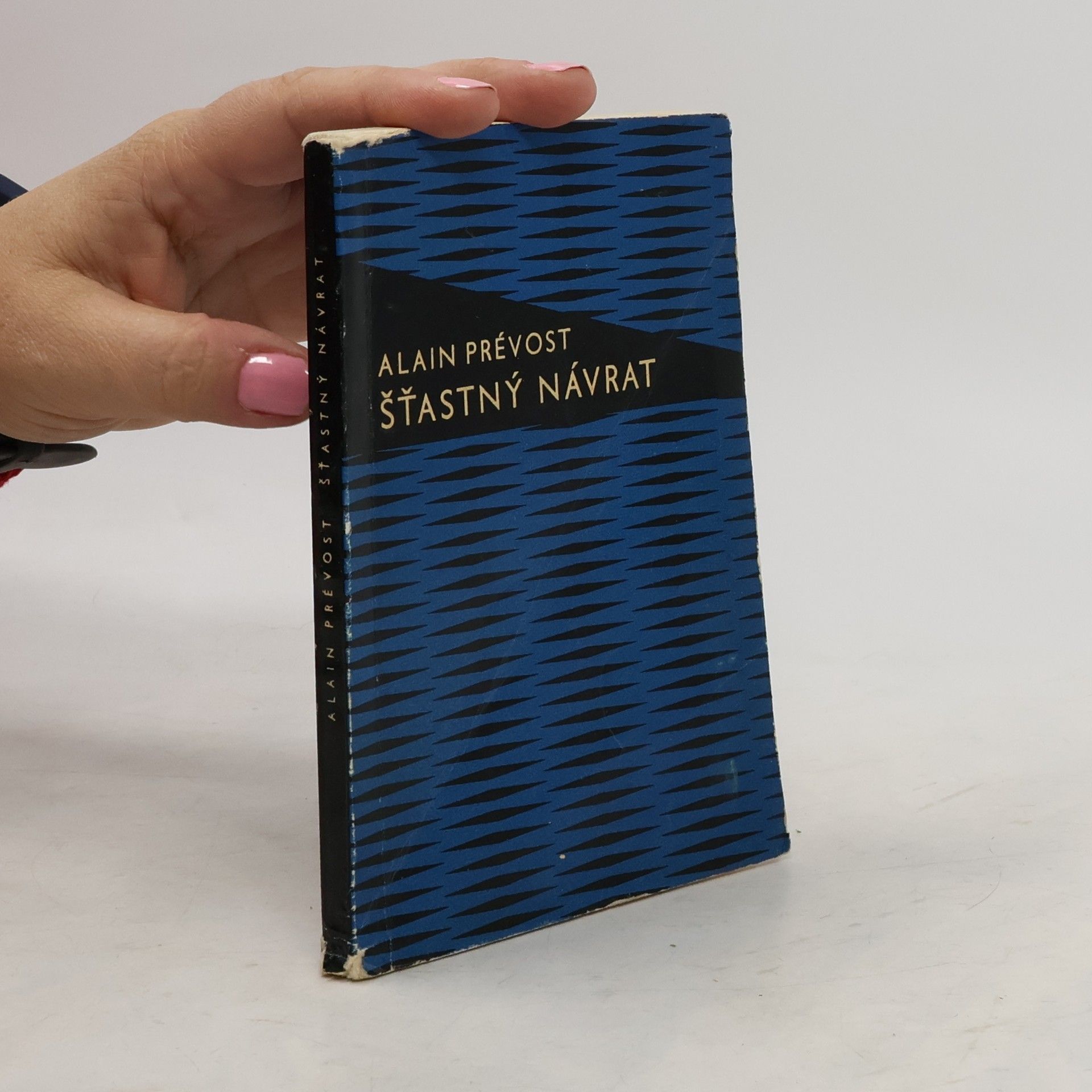 Prévost Alain Šťastný návrat