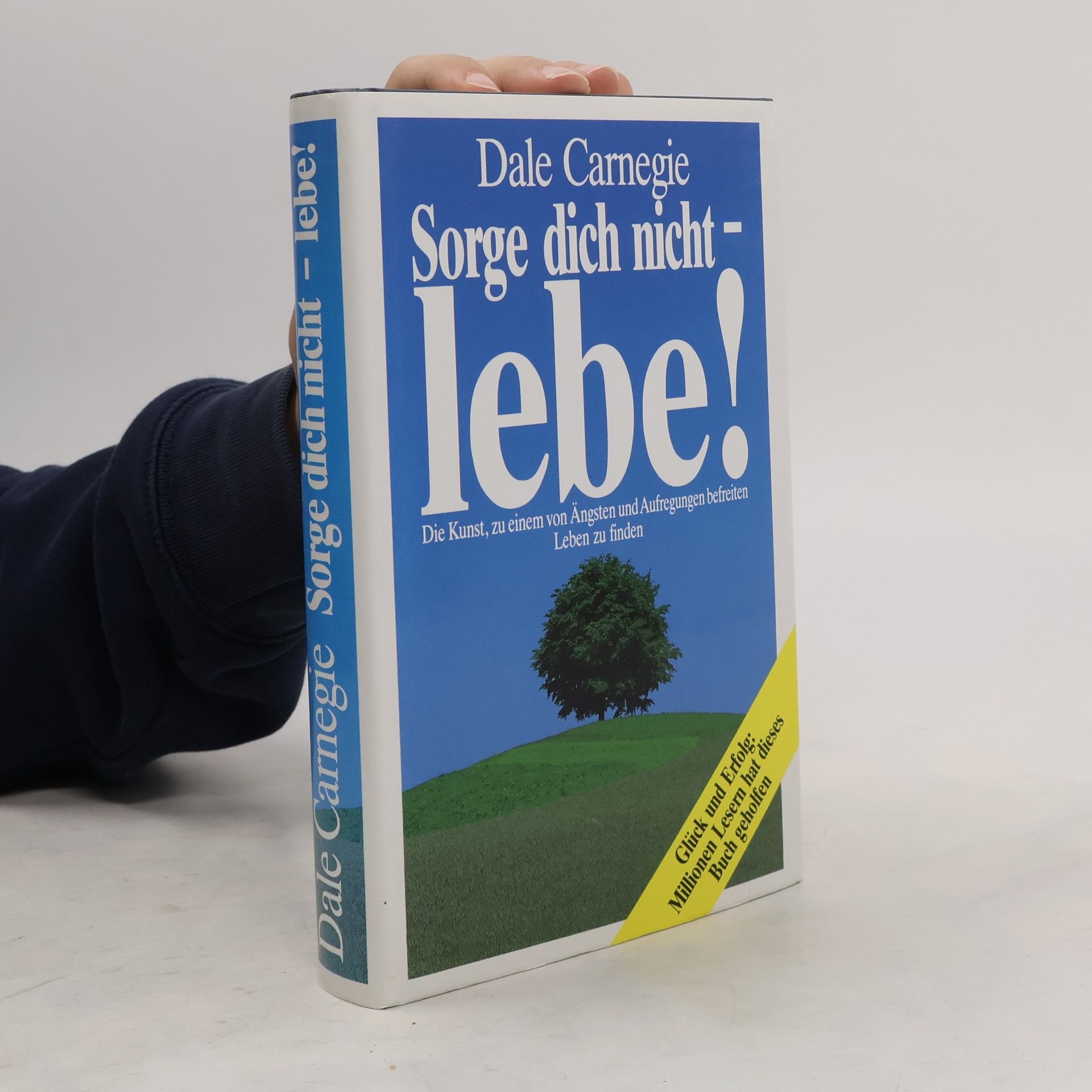 Dale Carnegie Sorge dich nicht - lebe!