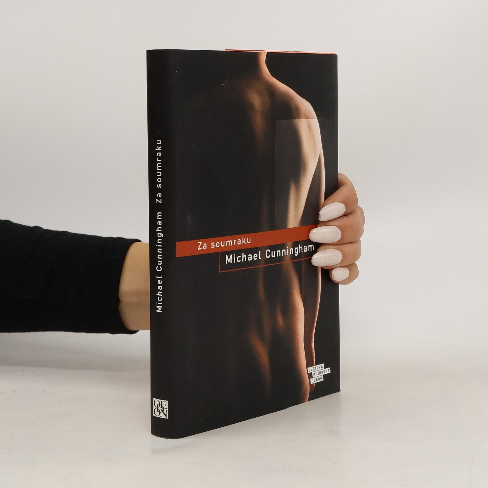 Michael Cunningham Za soumraku