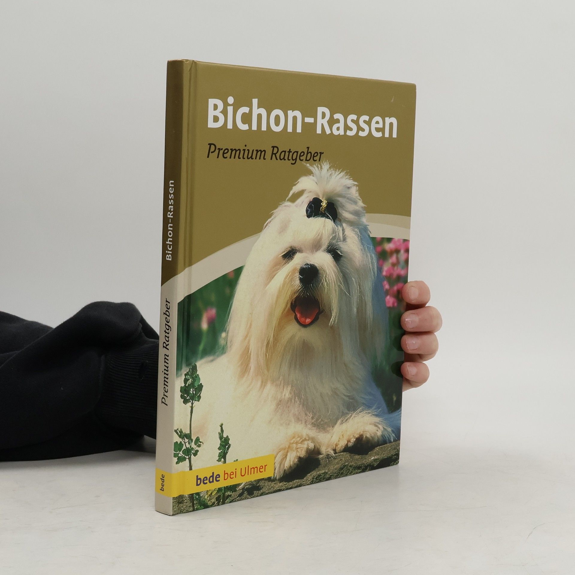 Bichon-Rassen