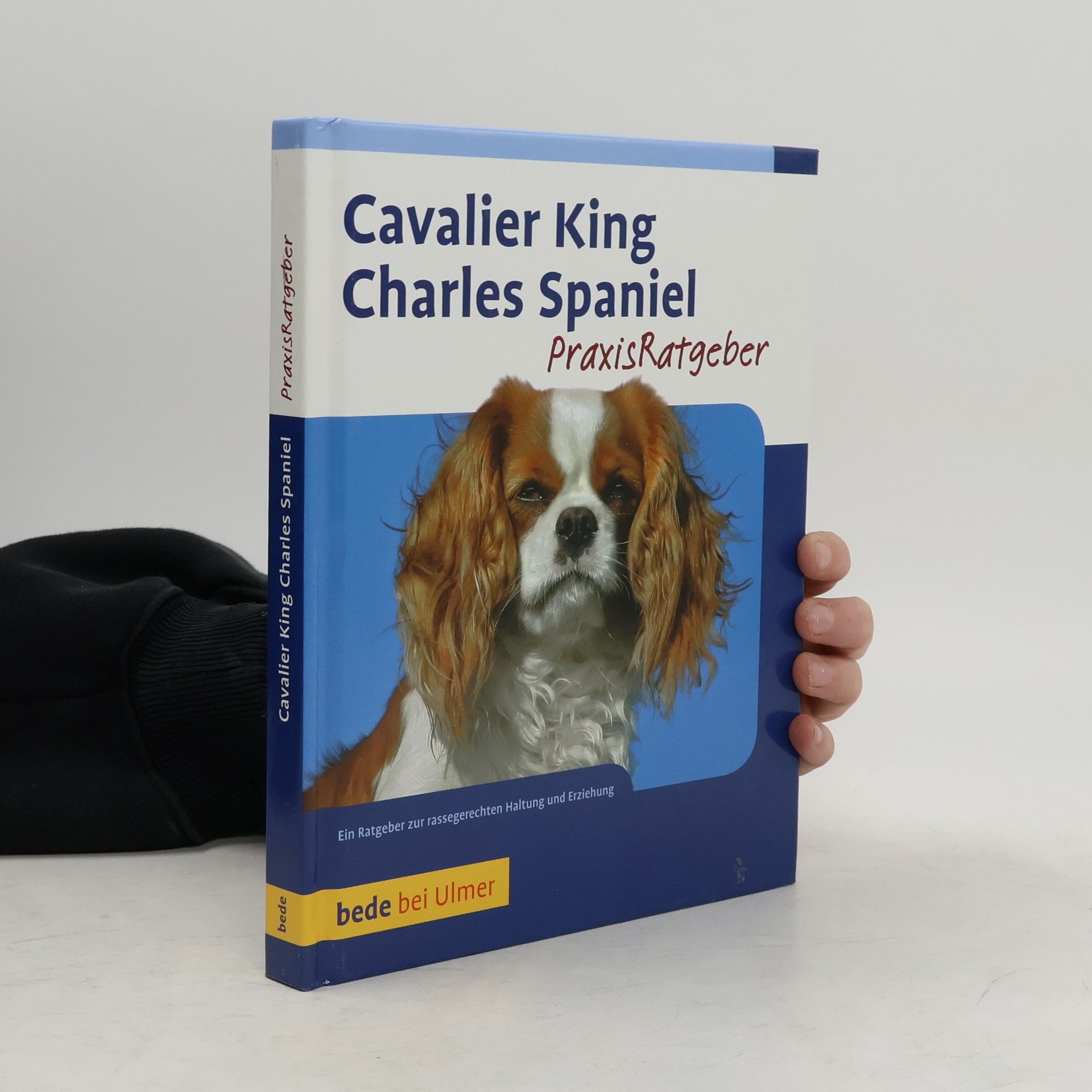 Juliette Cunliffe Cavalier King Charles Spaniel