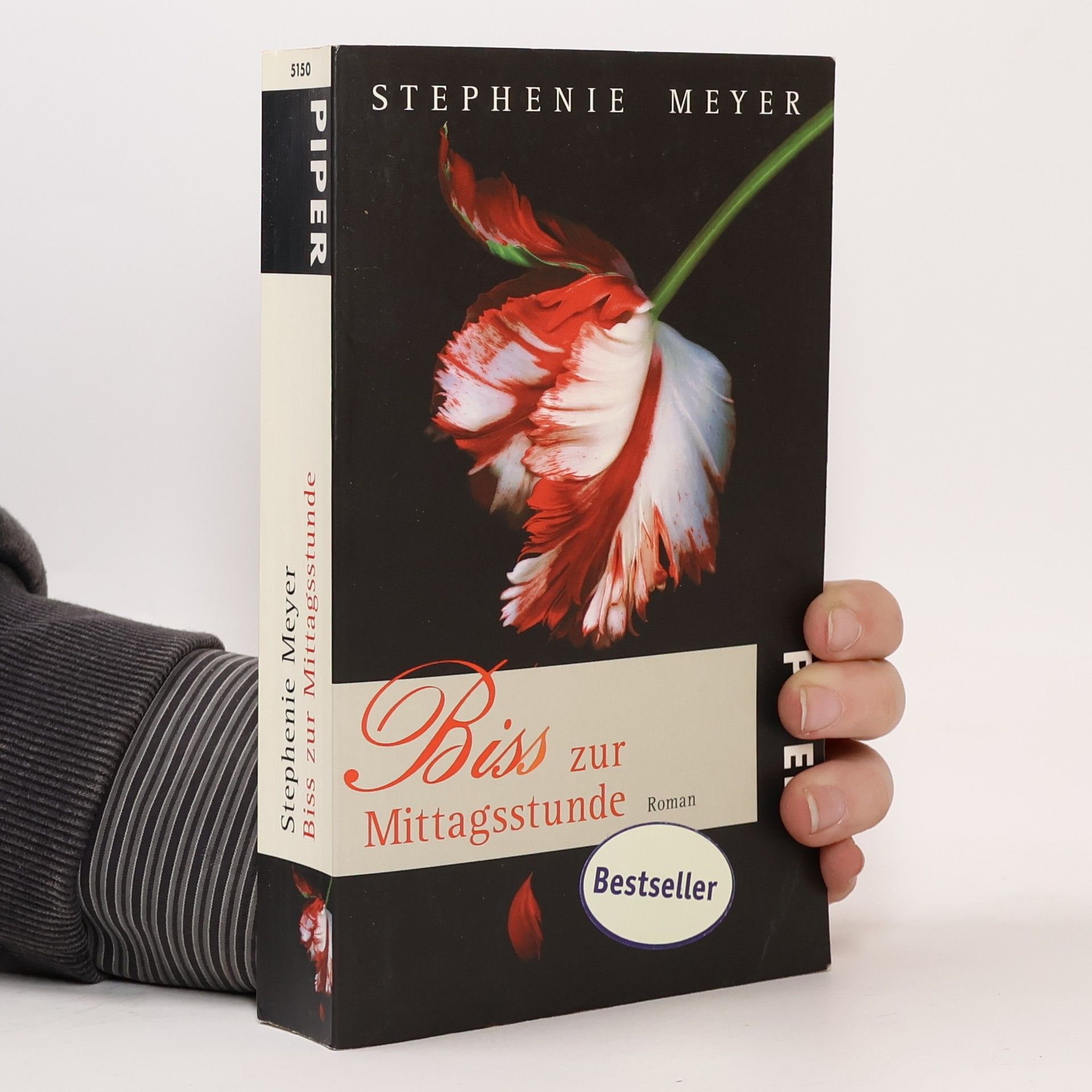 Stephenie Meyer Biss zur Mittagsstunde