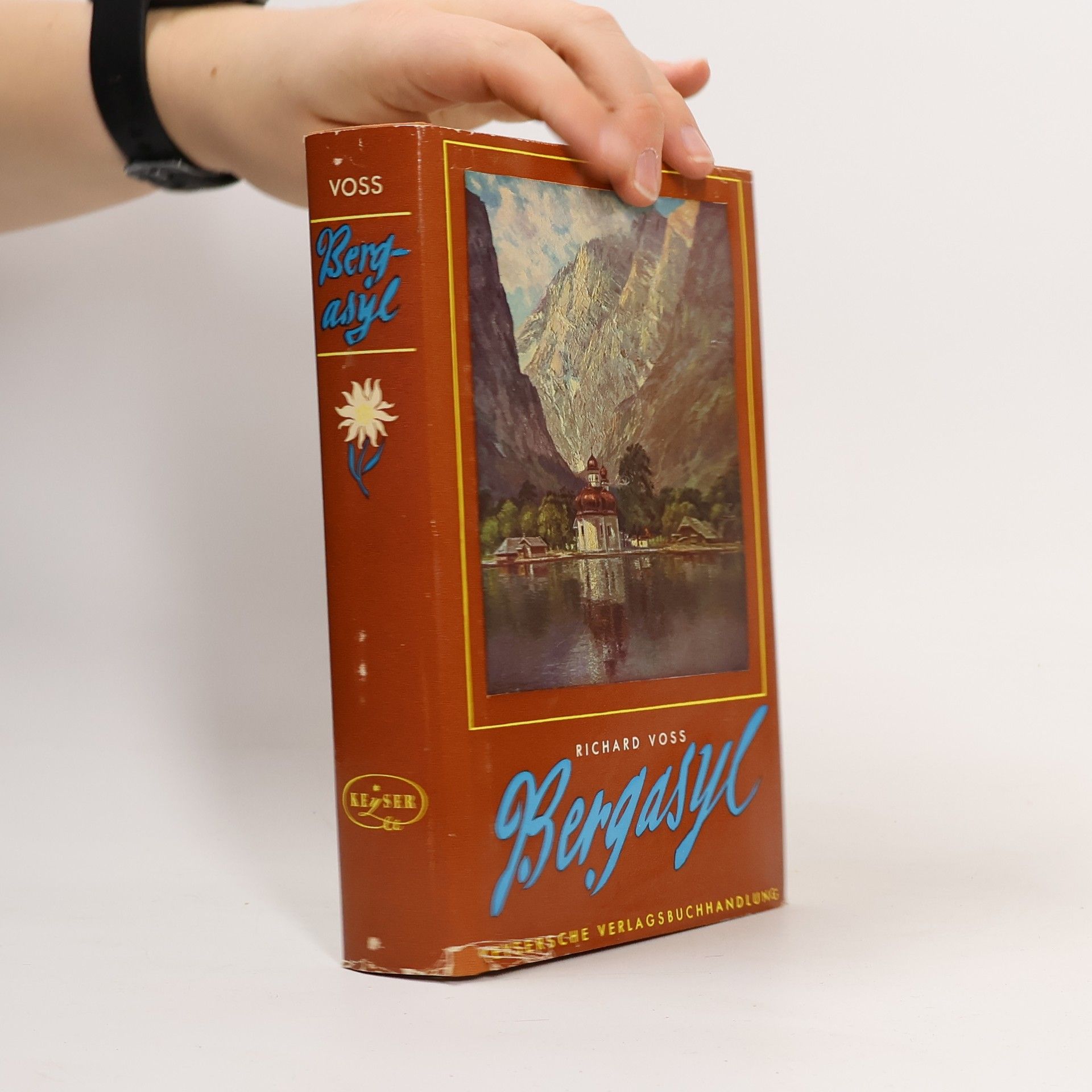 Richard Voss Bergasyl