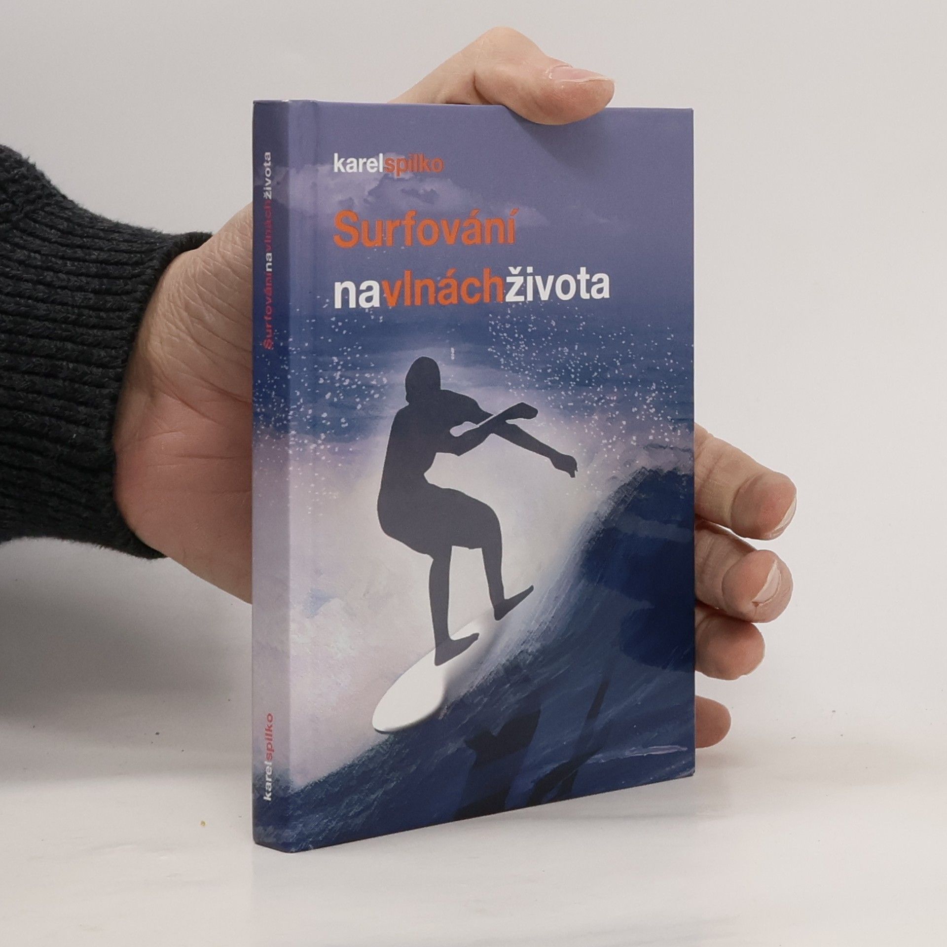 Surfování na vlnách života