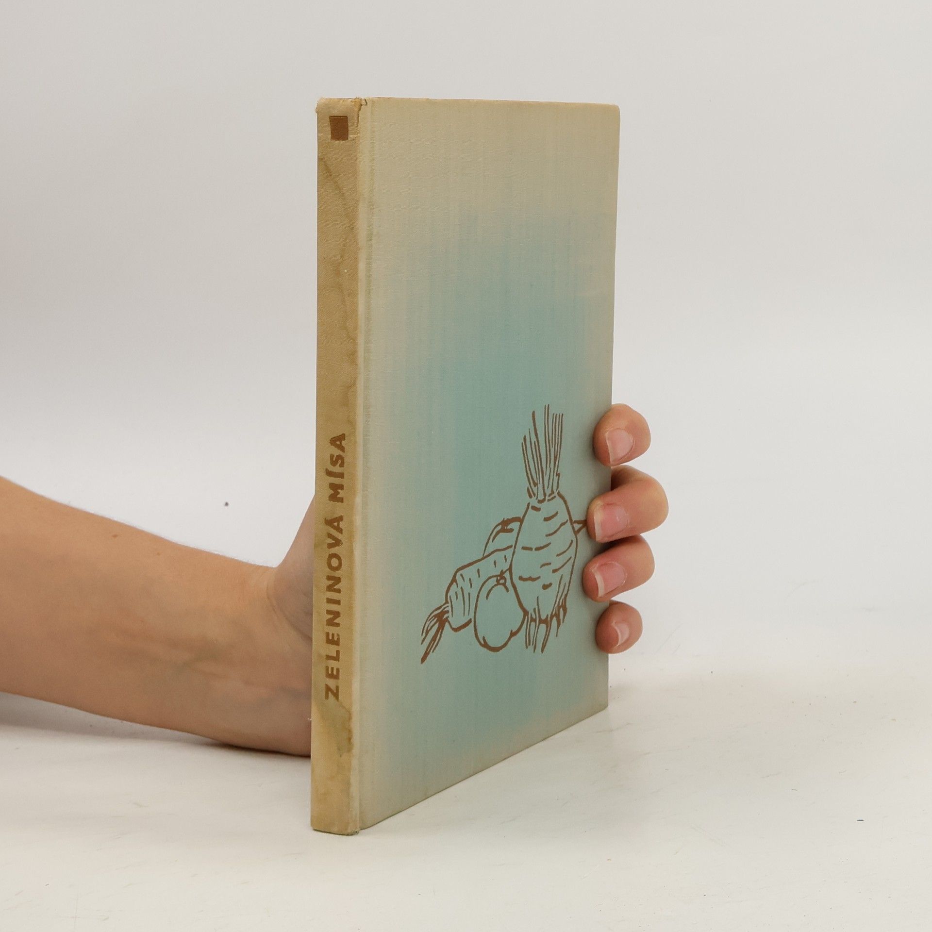 Zeleninová mísa. 370 receptů na jídla z různých zelenin