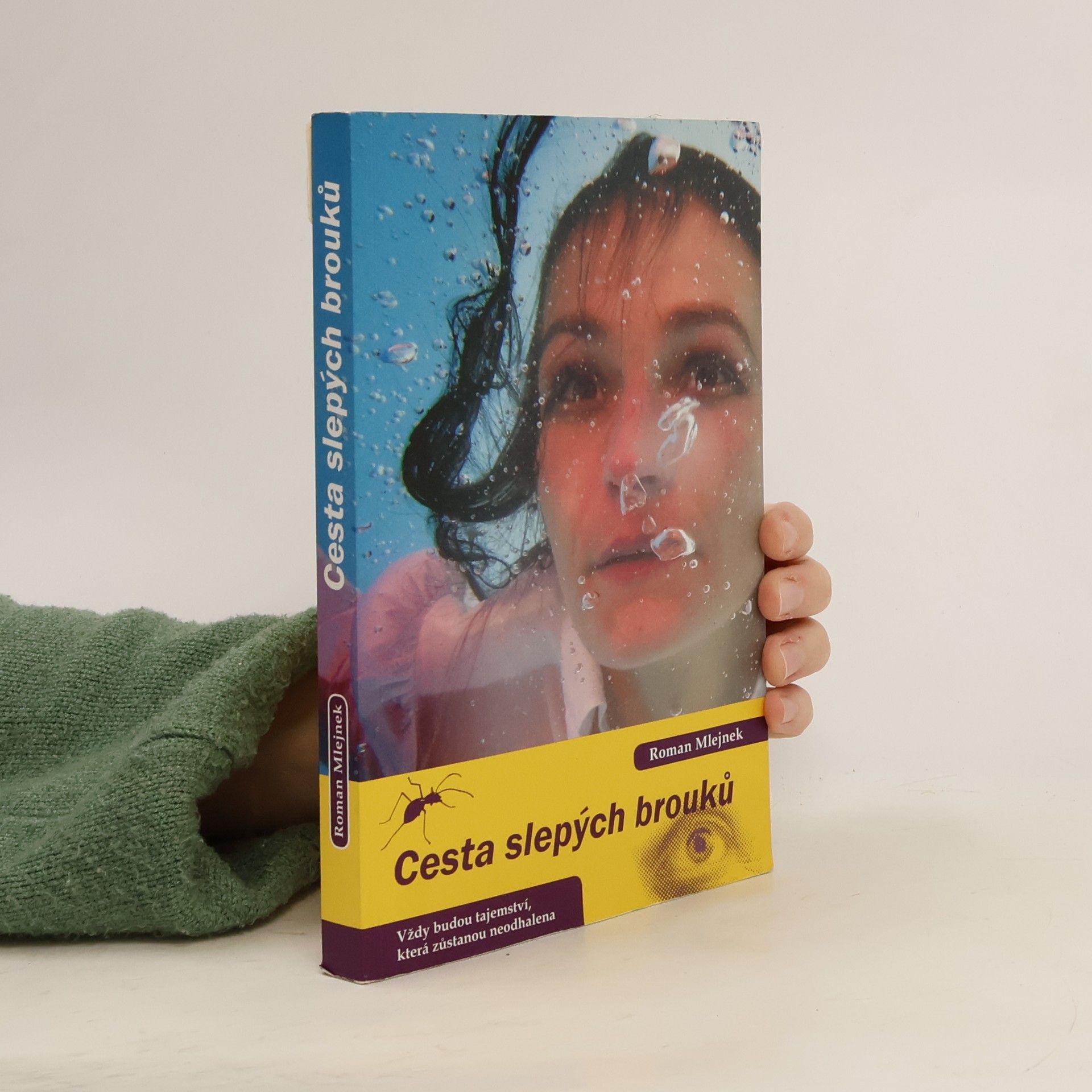 Roman Mlejnek Cesta slepých brouků