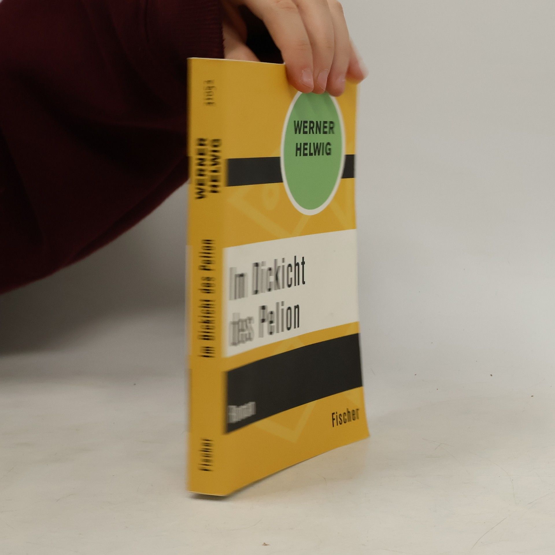 Werner Helwig Im Dickicht des Pelion