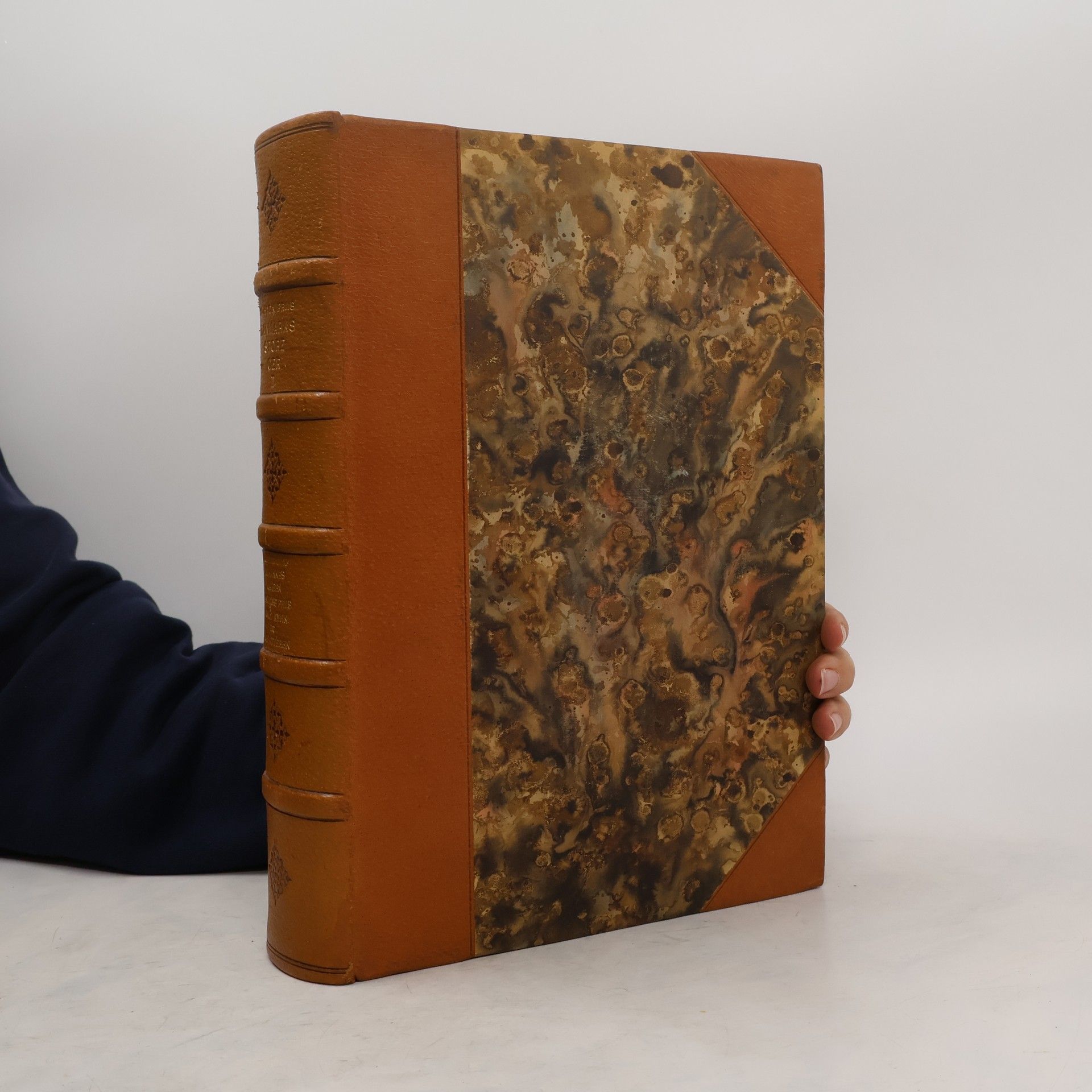 Achton Friis Danmarks store Øer II