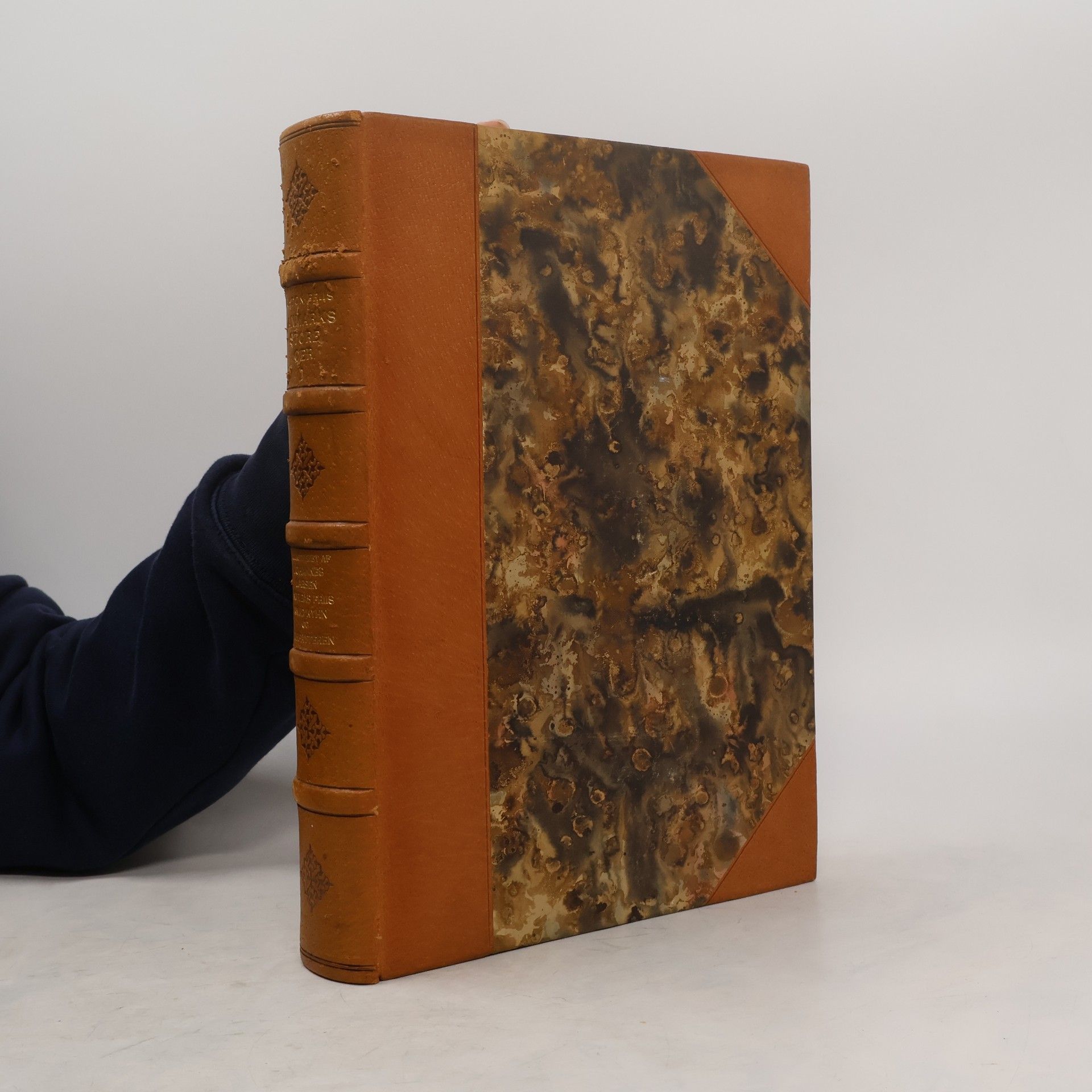 Achton Friis Danmarks store Øer I