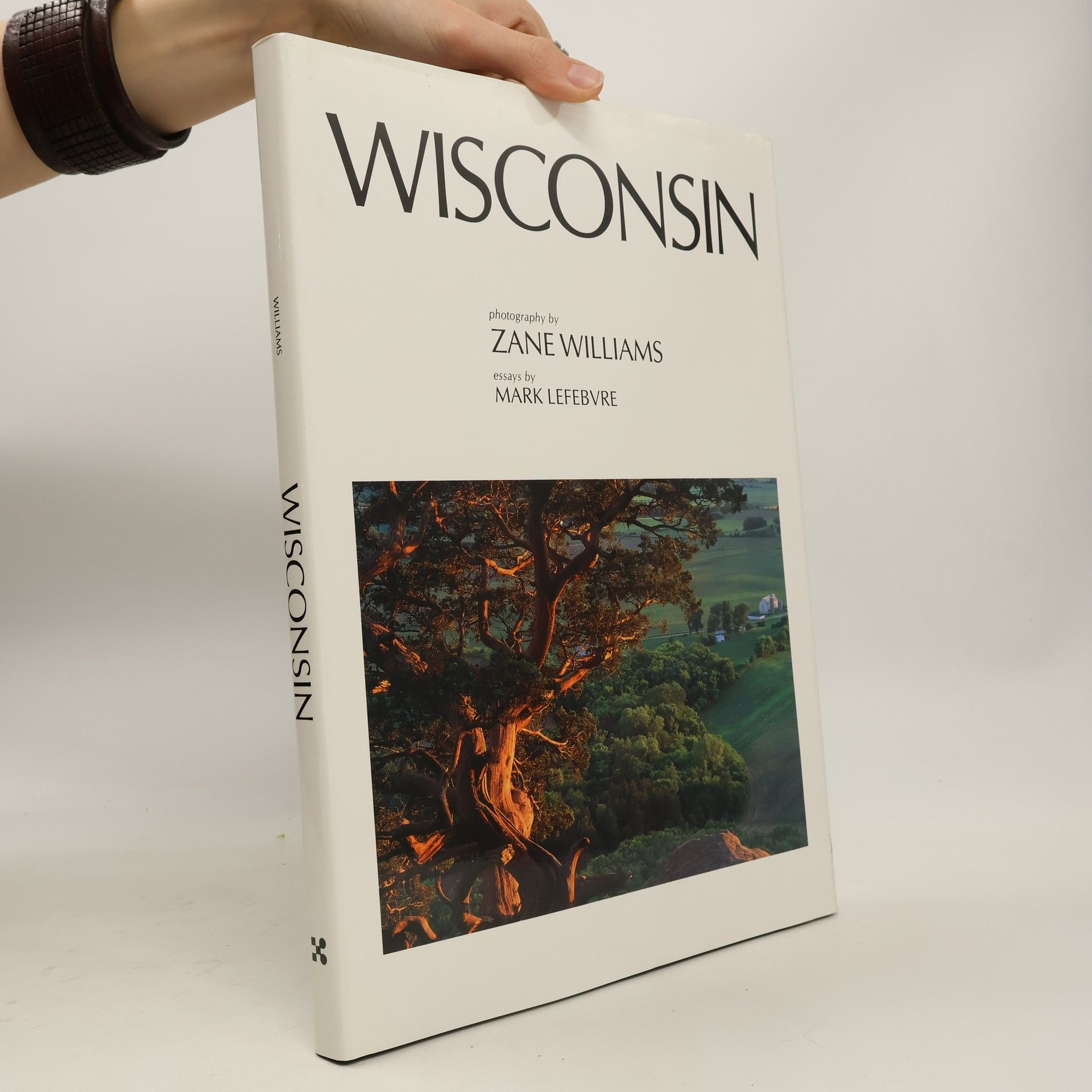 Zayne Williams Wisconsin