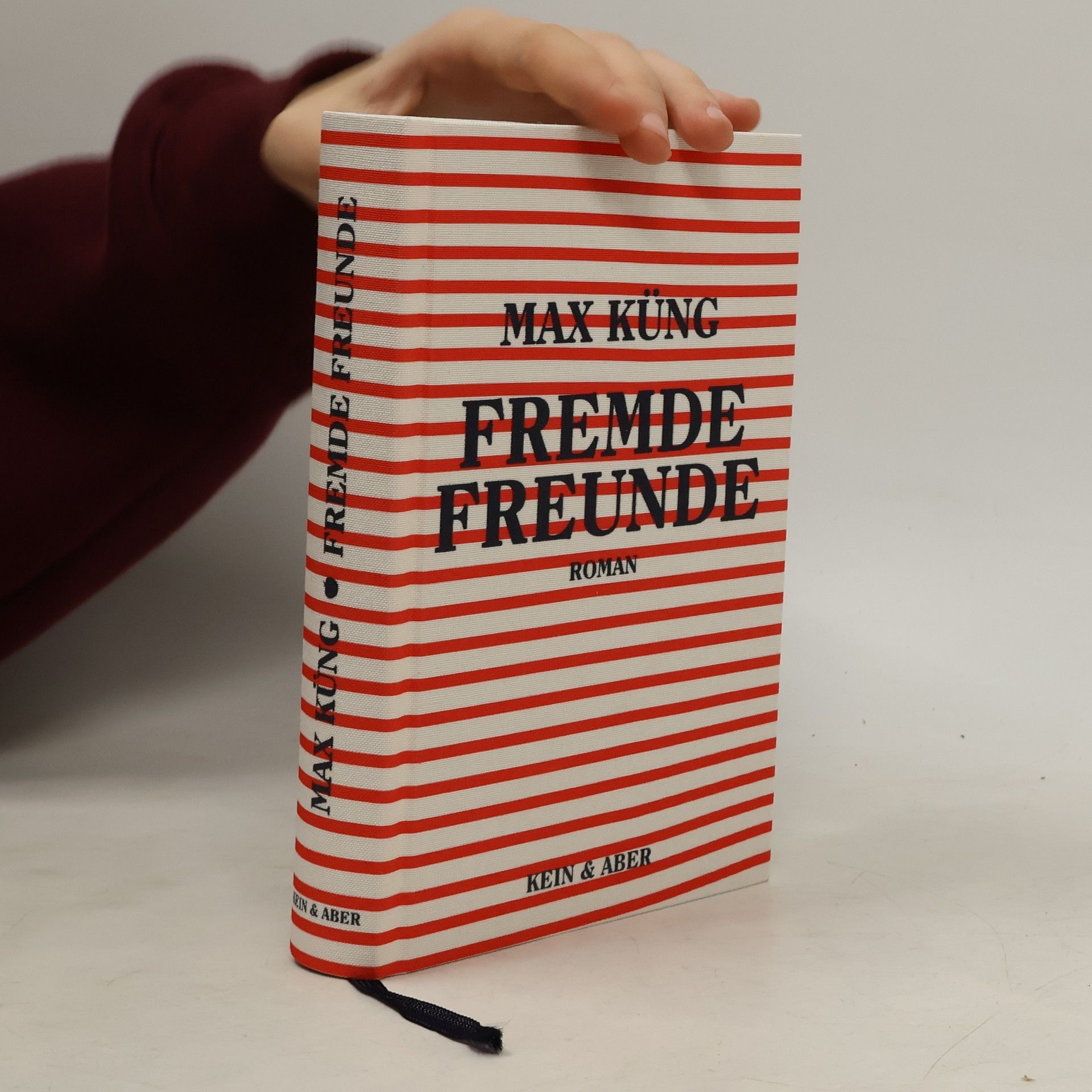 Max Küng Fremde Freunde