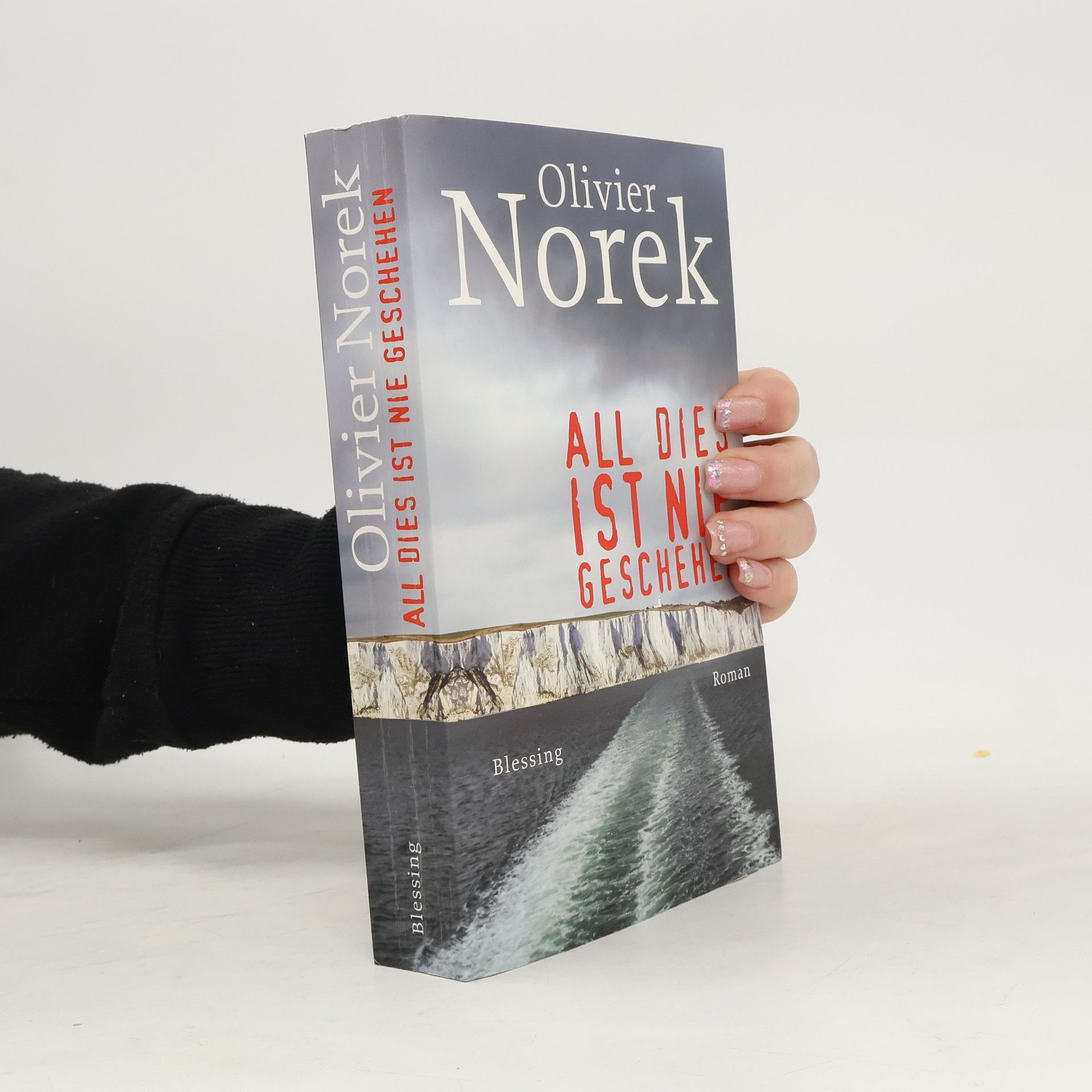 Olivier Norek All dies ist nie geschehen