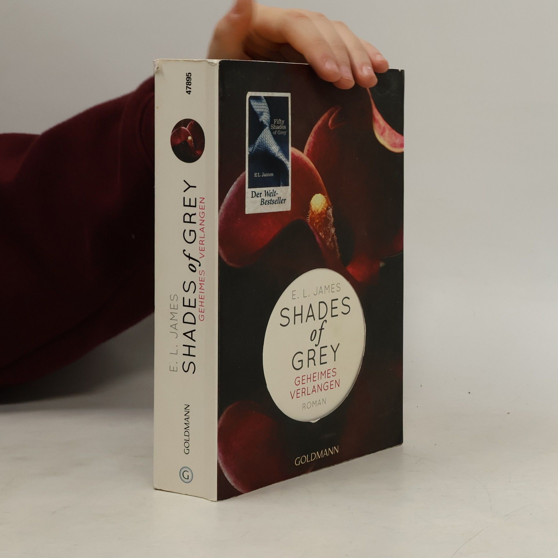 Shades of Grey. Geheimes Verlangen