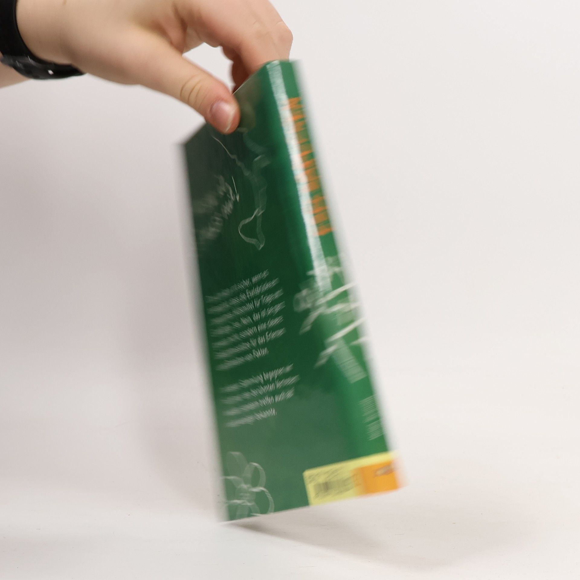 Helga Schmidt Eselsbrücken