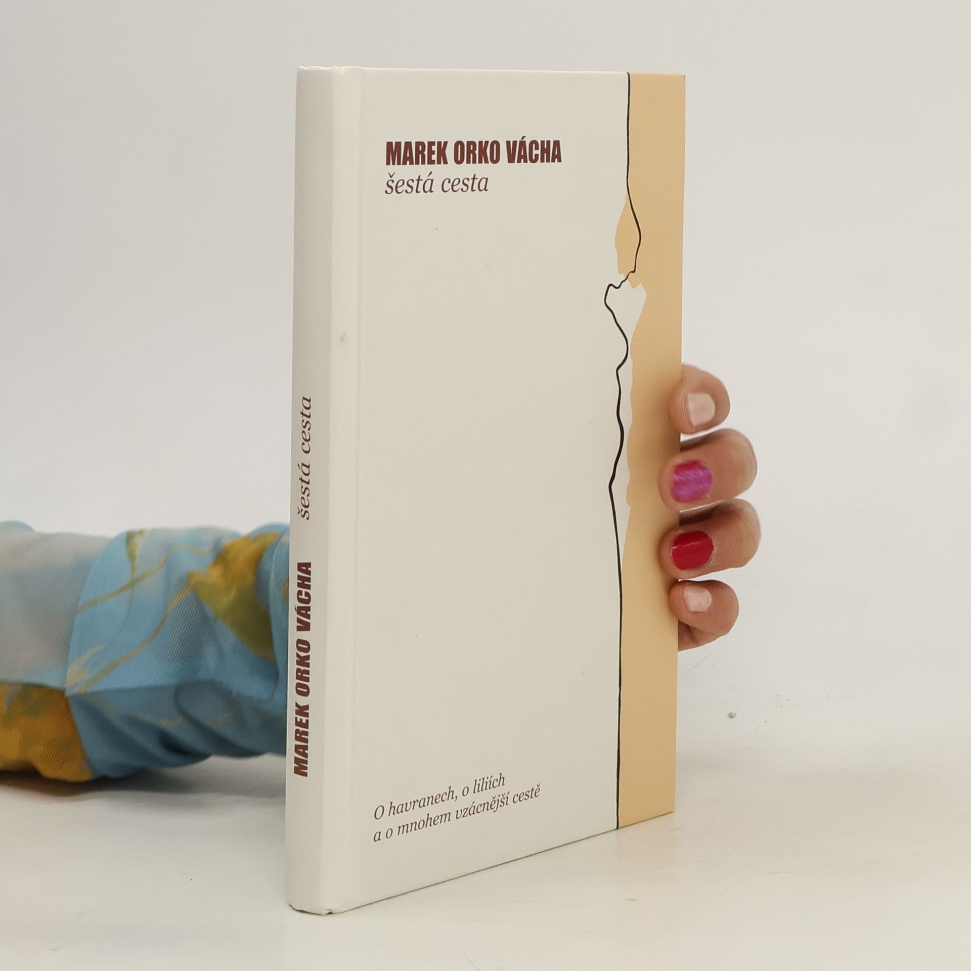Marek Orko Vácha Šestá cesta