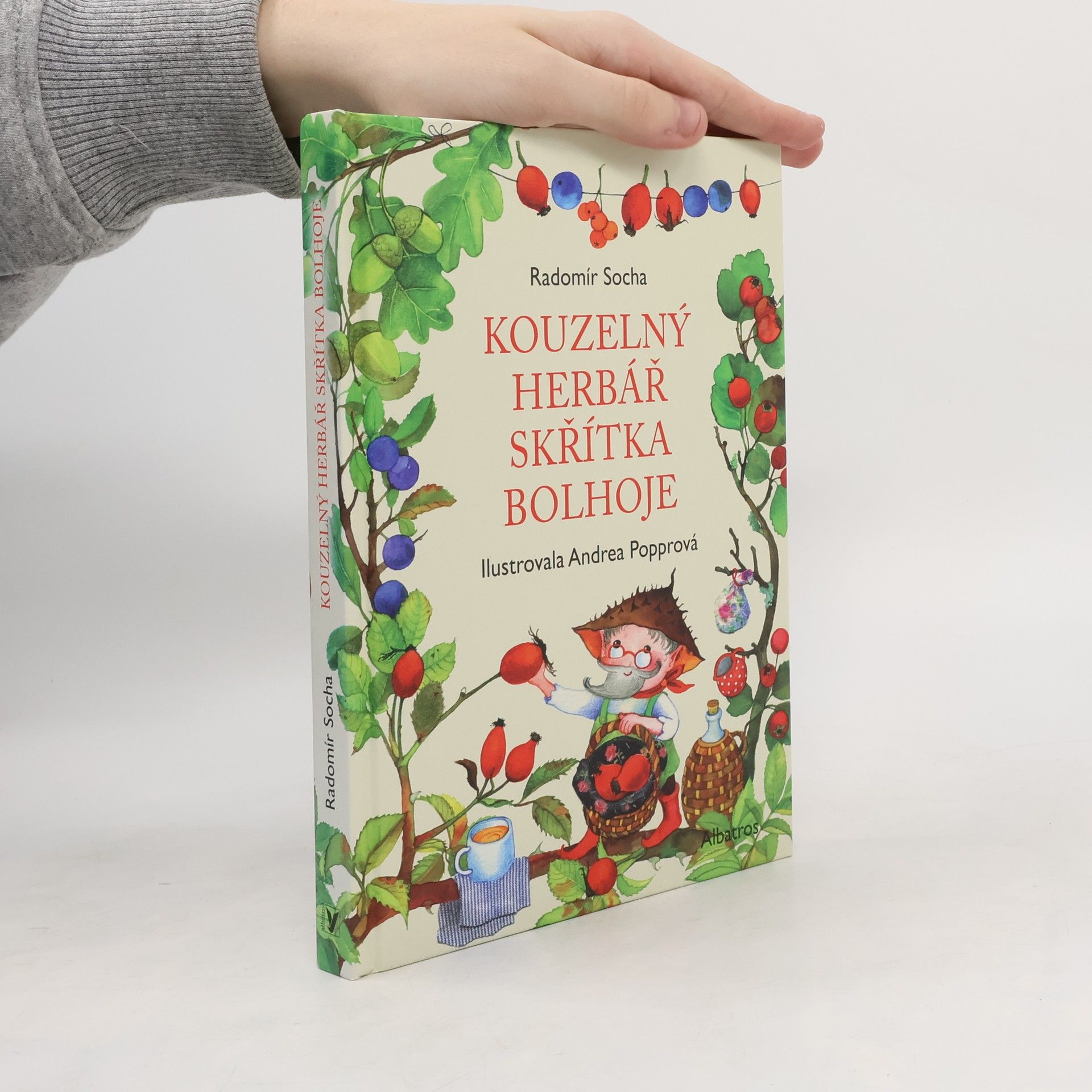Radomír Socha Kouzelný herbář skřítka Bolhoje