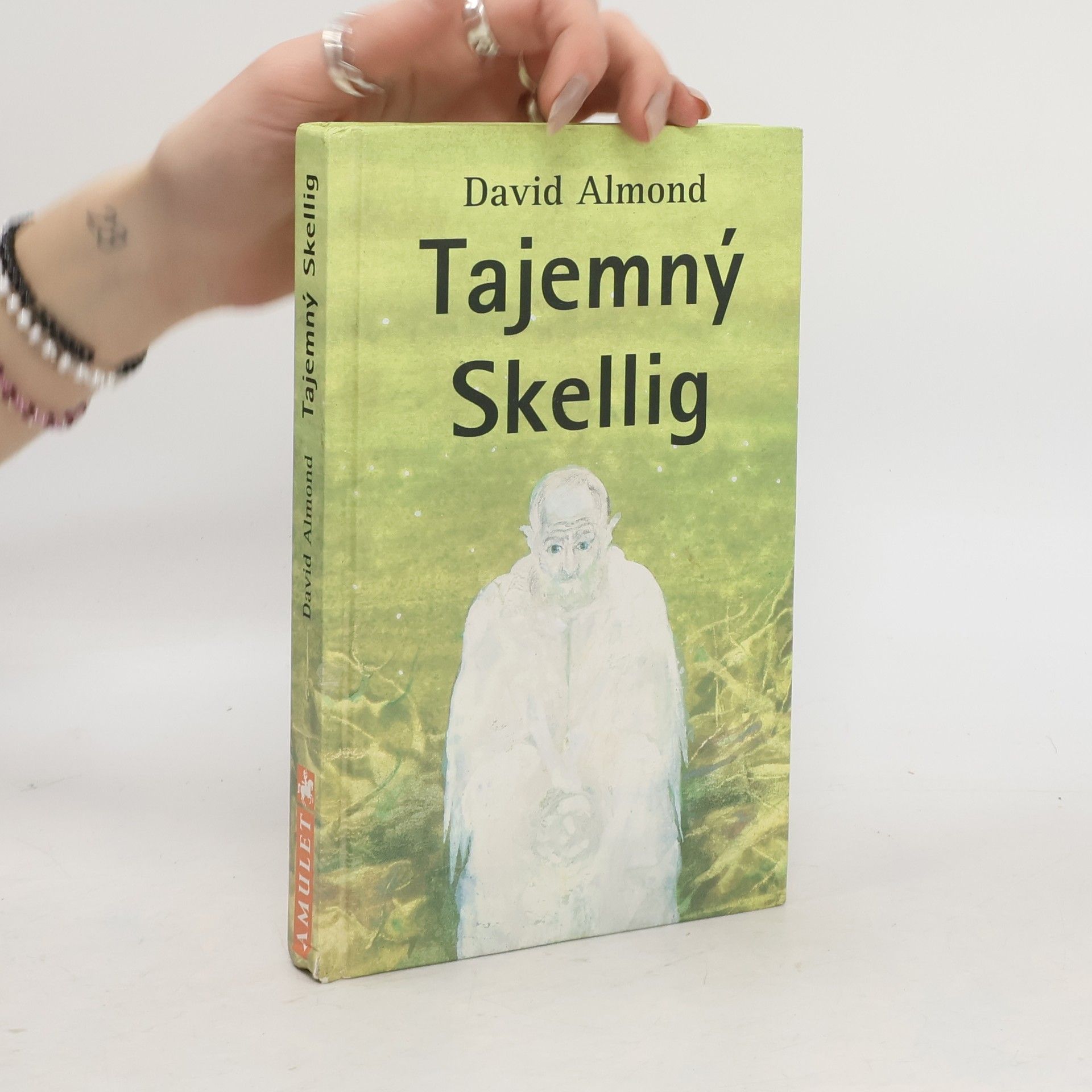 David Almond Tajemný Skellig