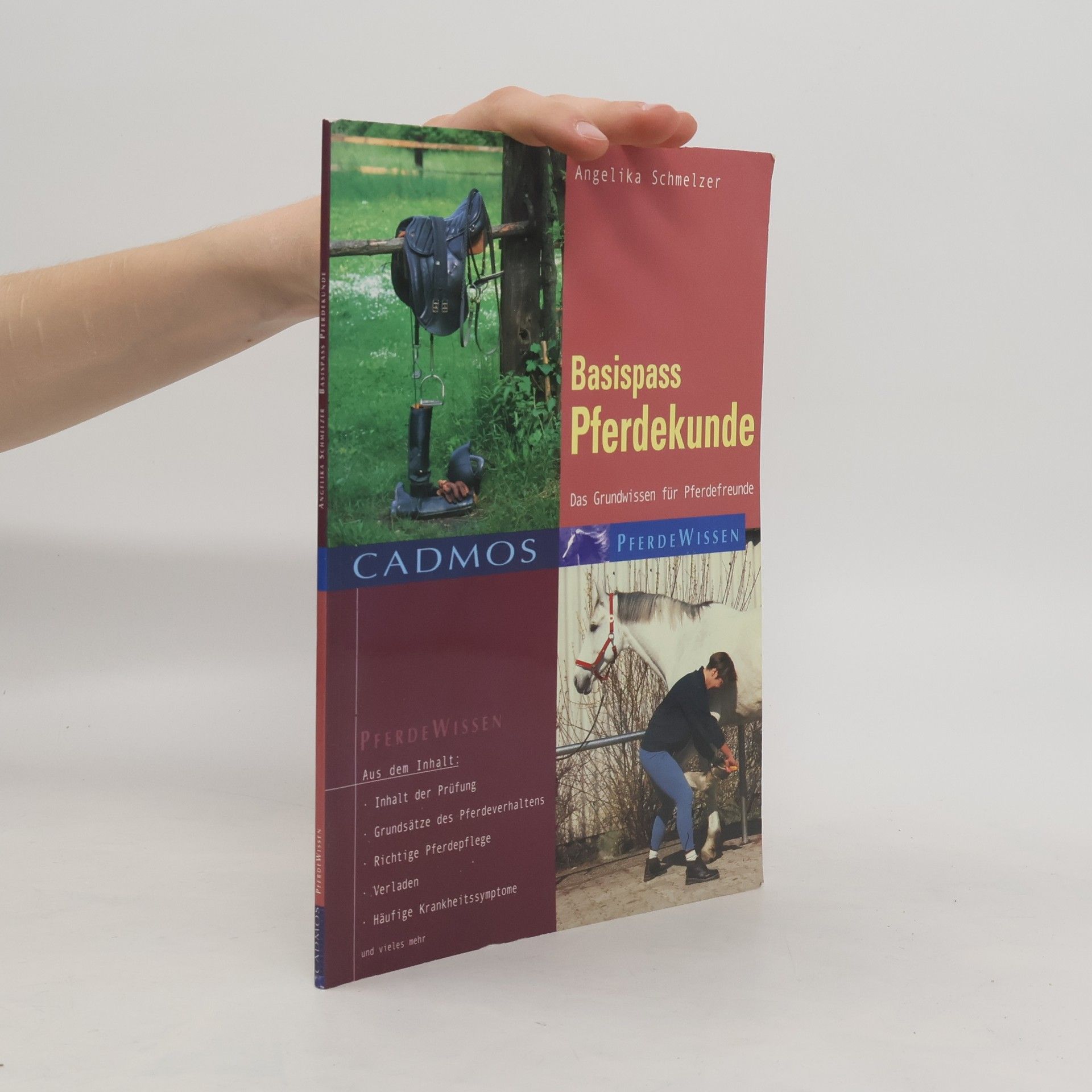 Angelika Schmelzer Basispass Pferdekunde