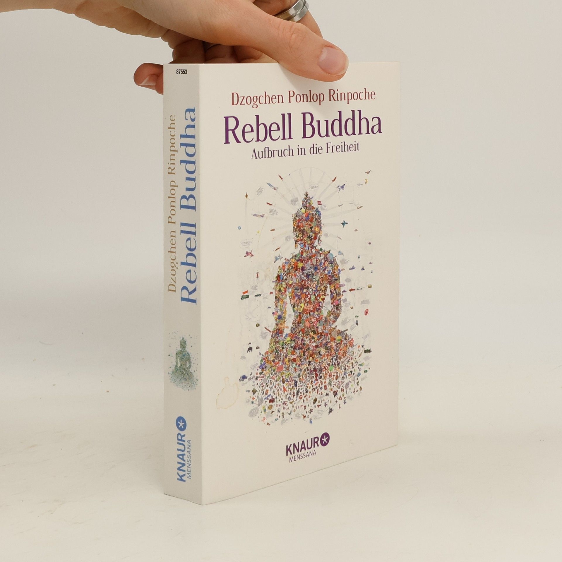 Rdzogs chen dpon slob Rebell Buddha