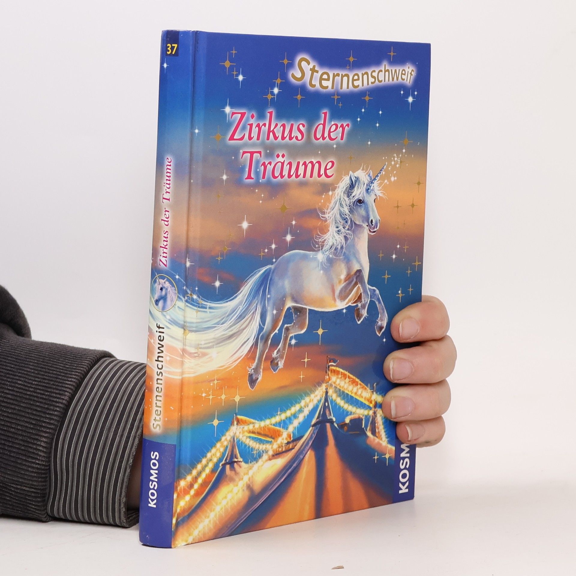 Linda Chapman Zirkus der Träume