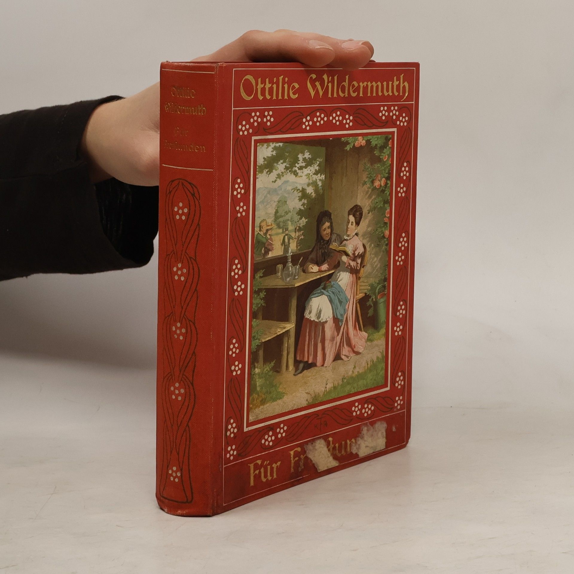 Ottilie Wildermuth Für Freistunden