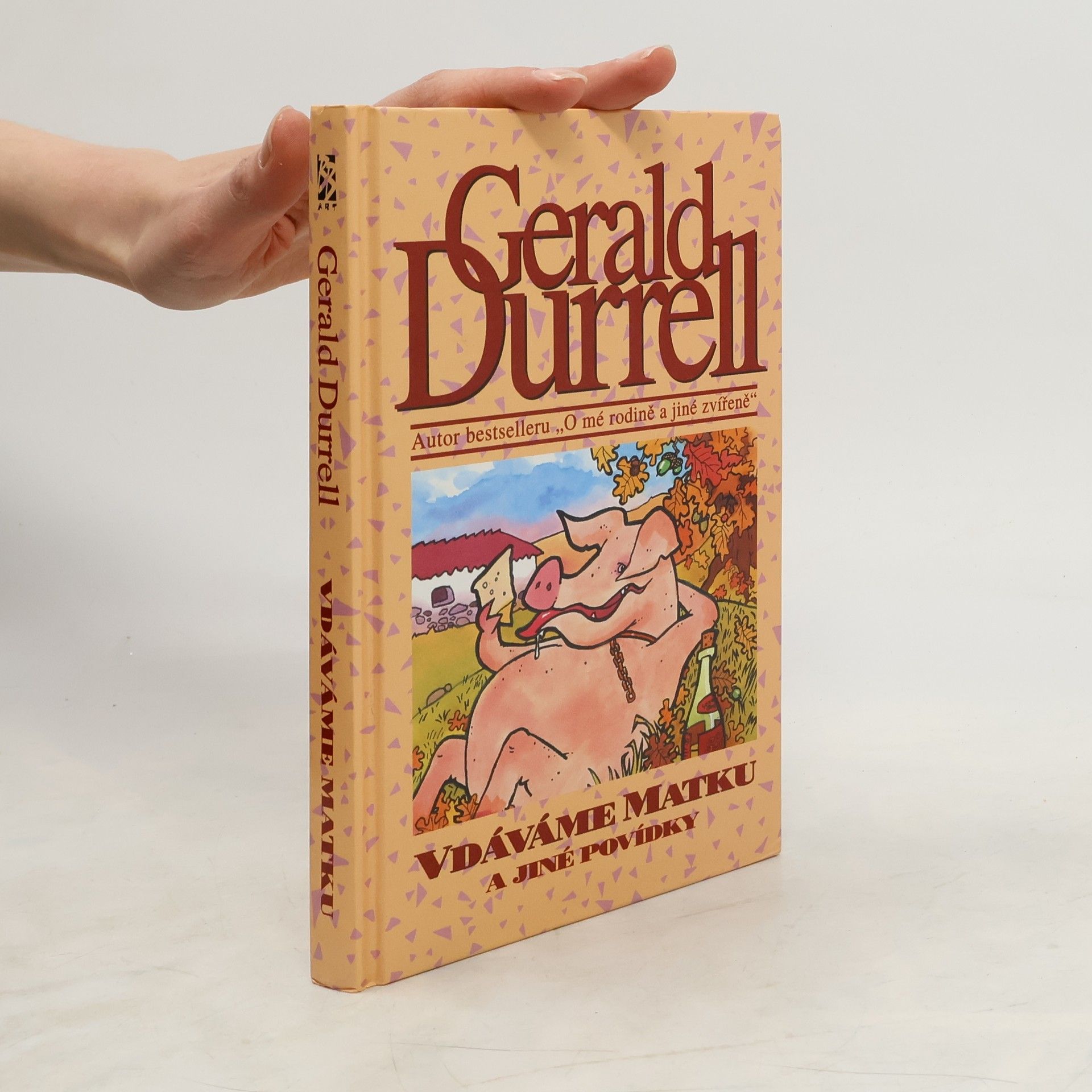 Vdáváme matku a jiné povídky