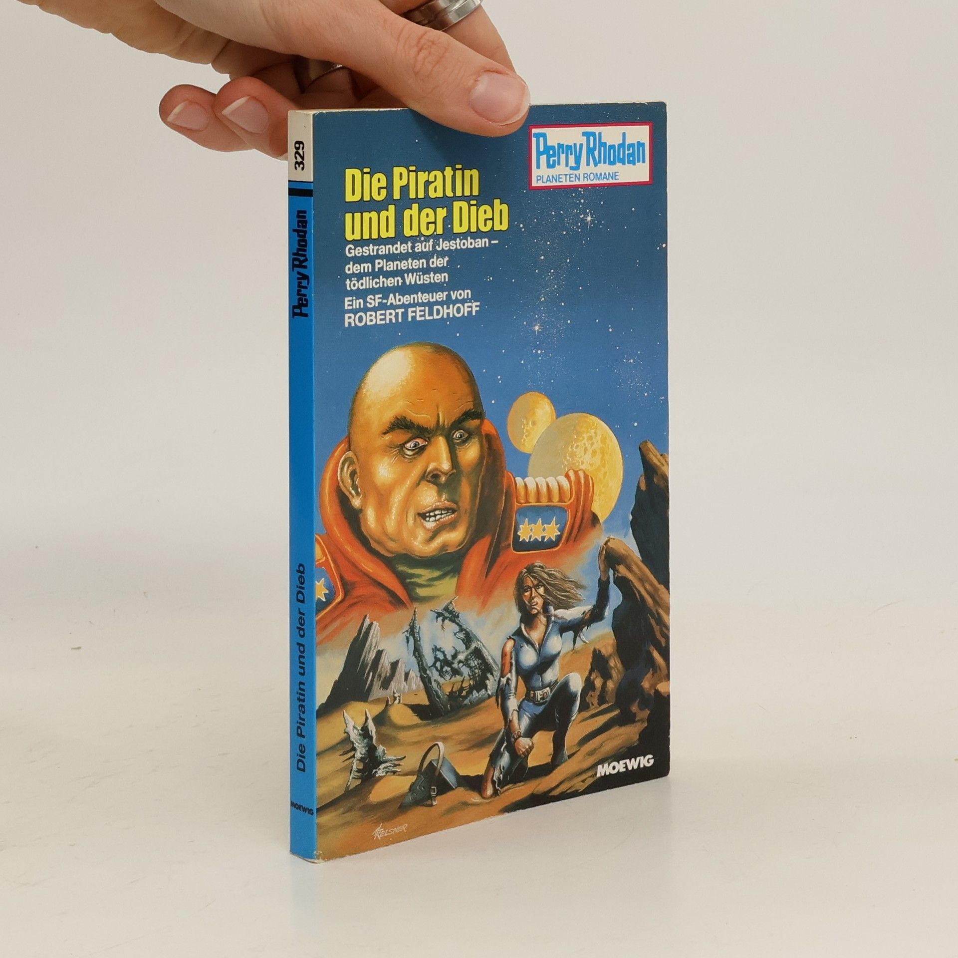 Robert Feldhoff Die Piratin und der Dieb