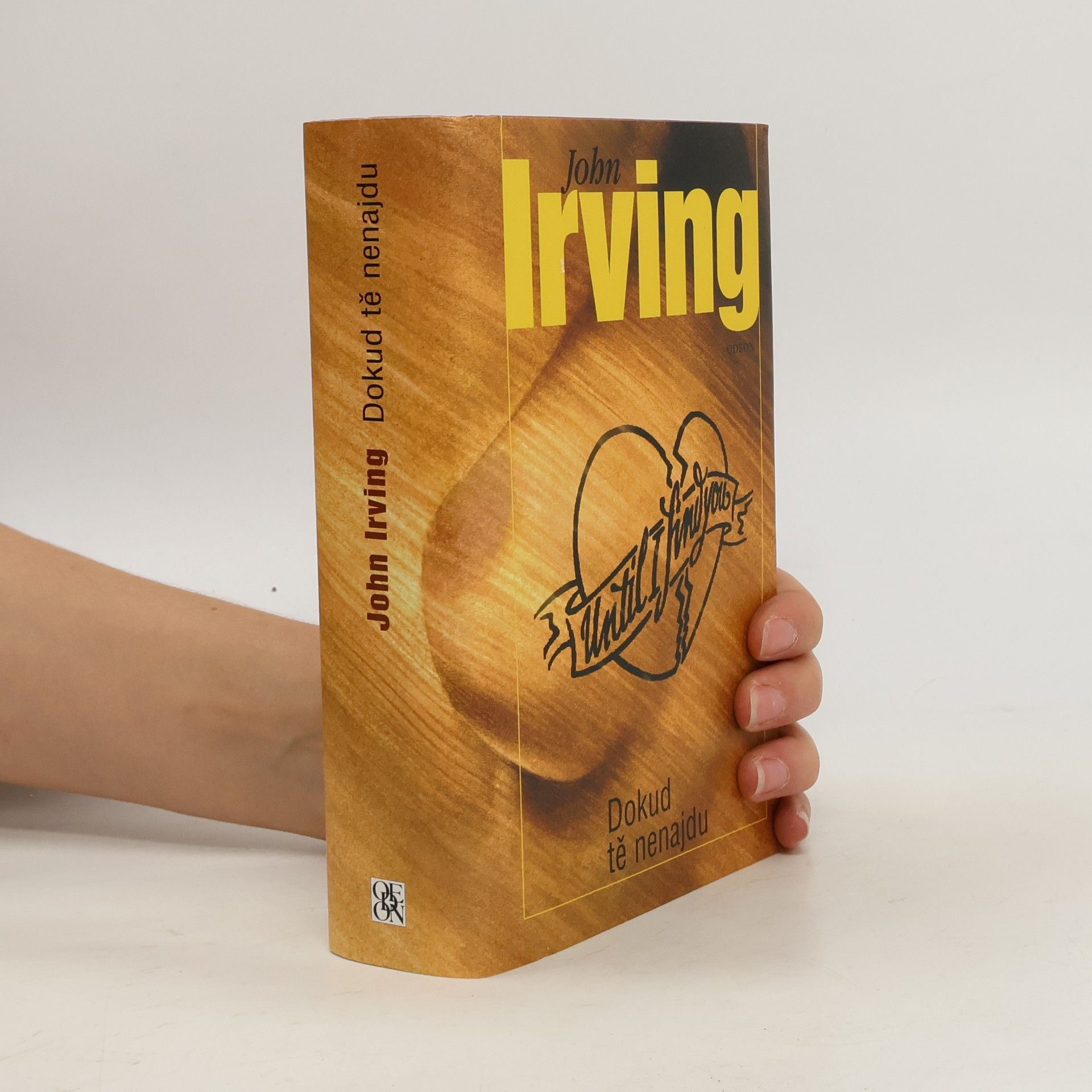 John Irving Dokud tě nenajdu