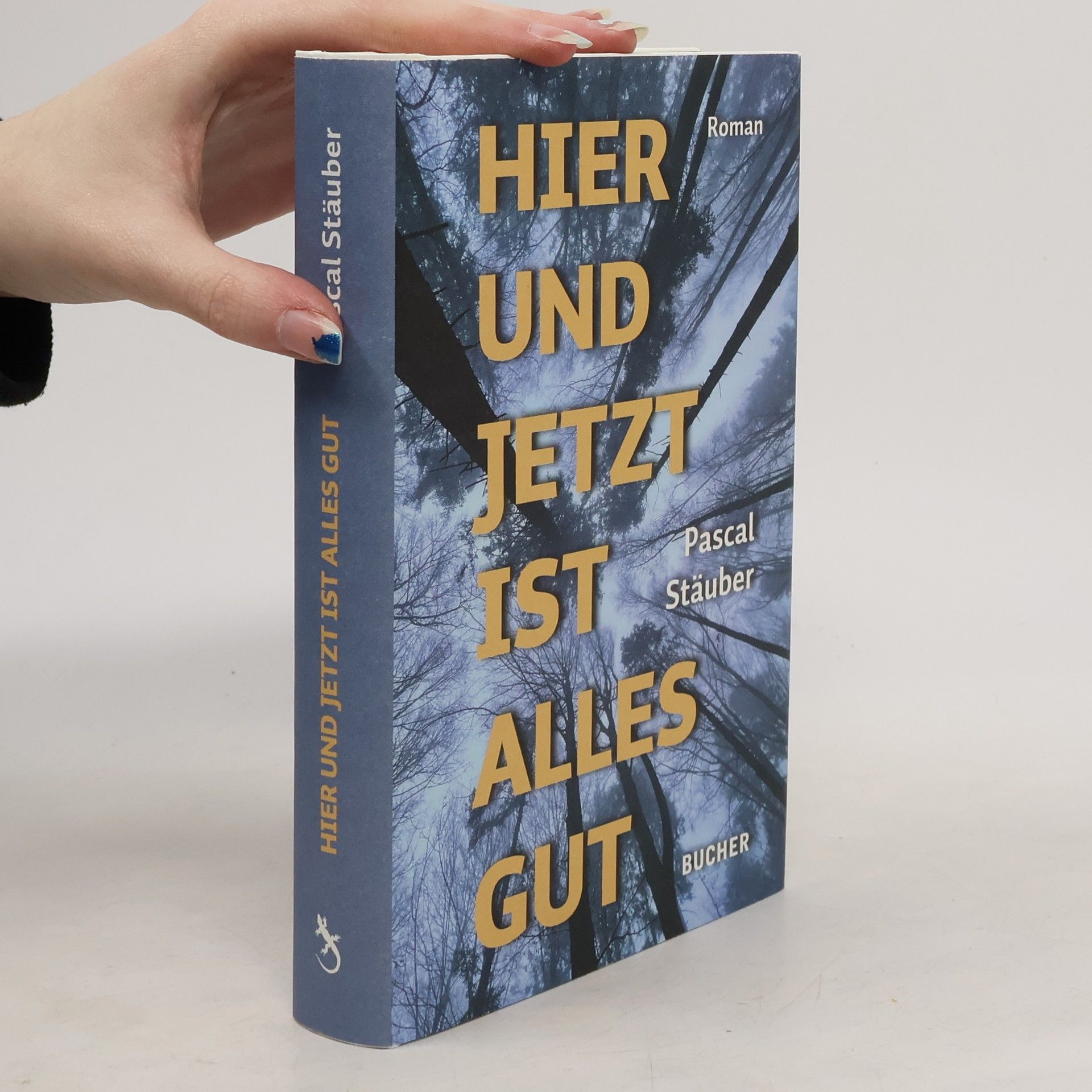 Pascal Stäuber Hier und jetzt ist alles gut