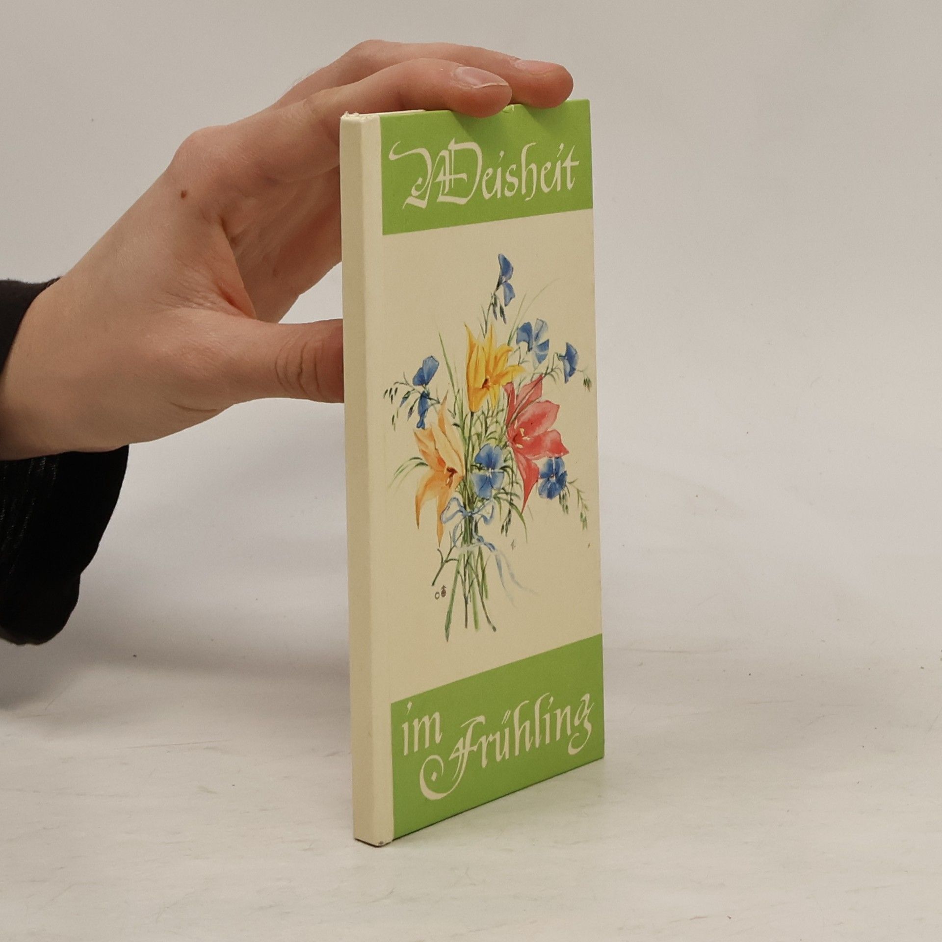 Autorenkollektiv Weisheit im Frühling