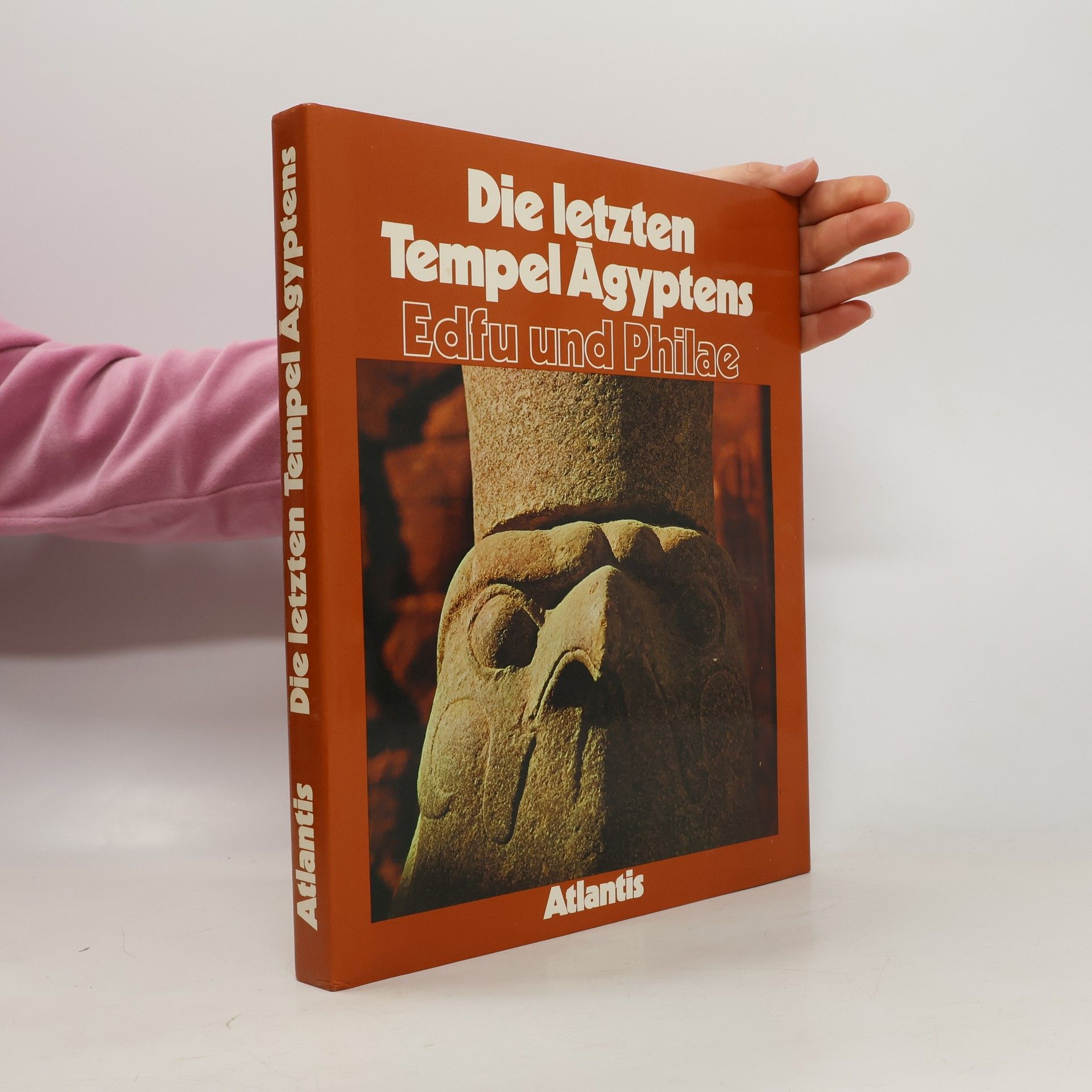 Die letzten Tempel Ägyptens