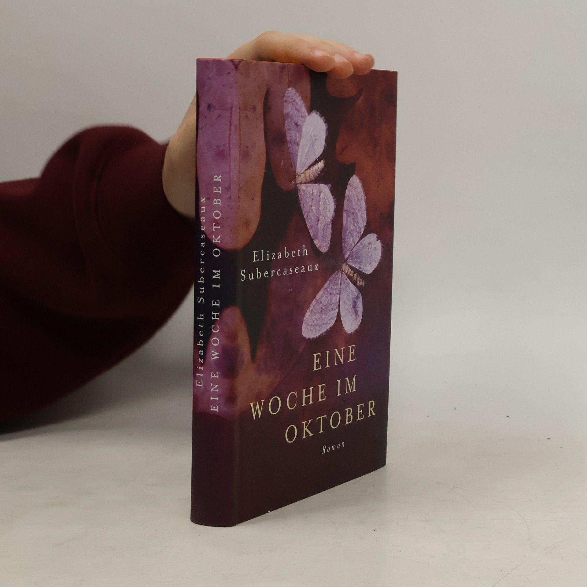 Elizabeth Subercaseaux Eine Woche im Oktober