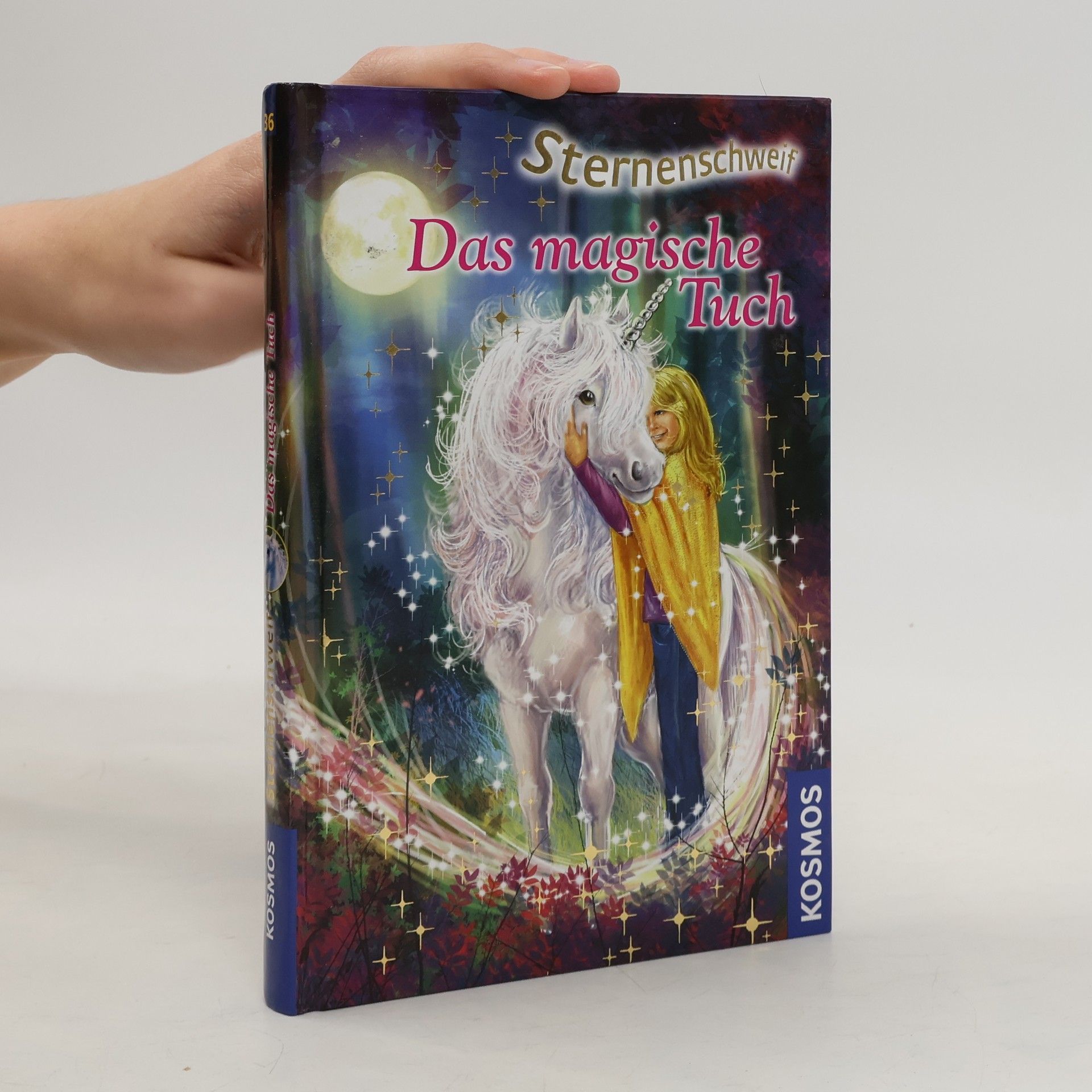 Ina Brandt Das Magische Tuch