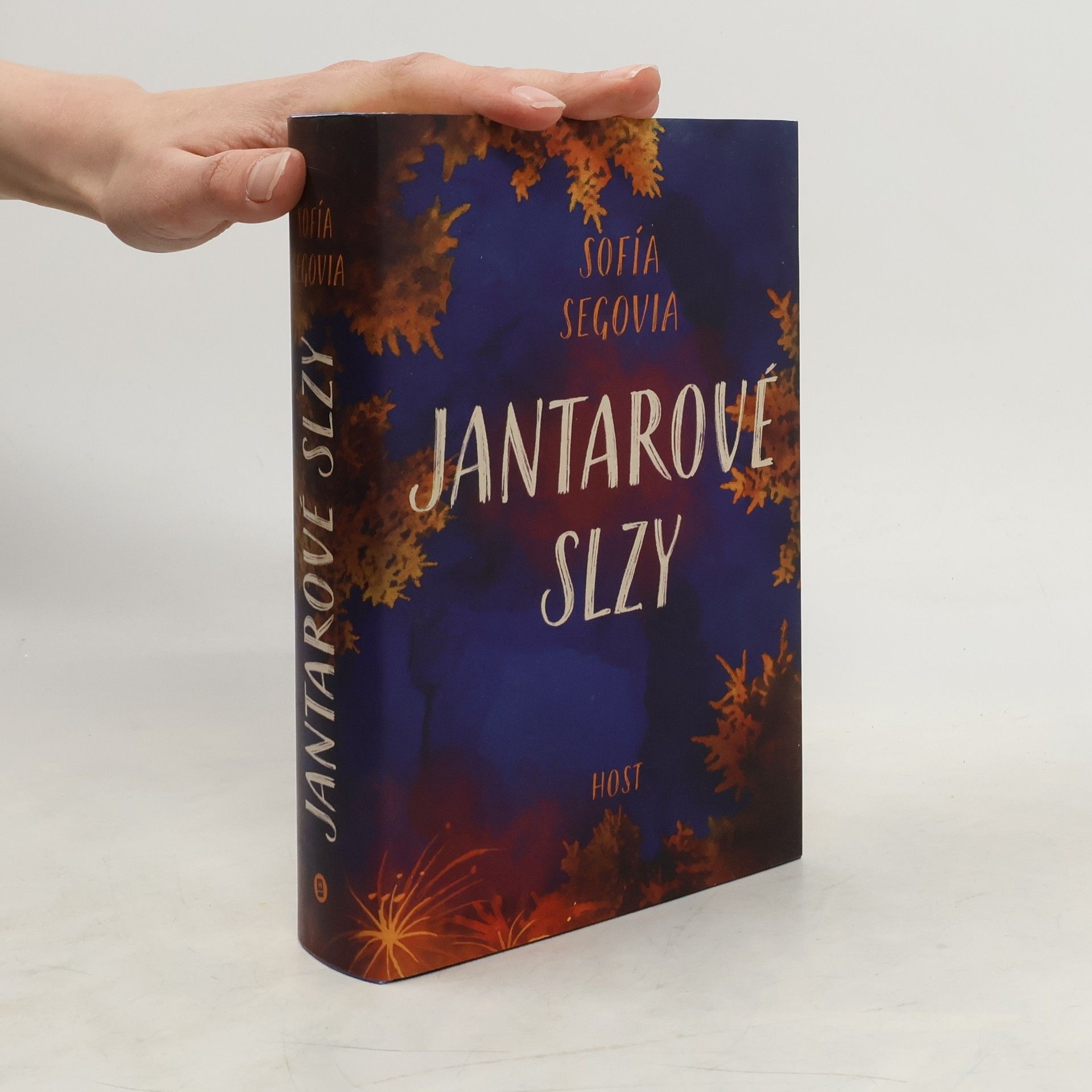 Romana Bičíková Jantarové slzy