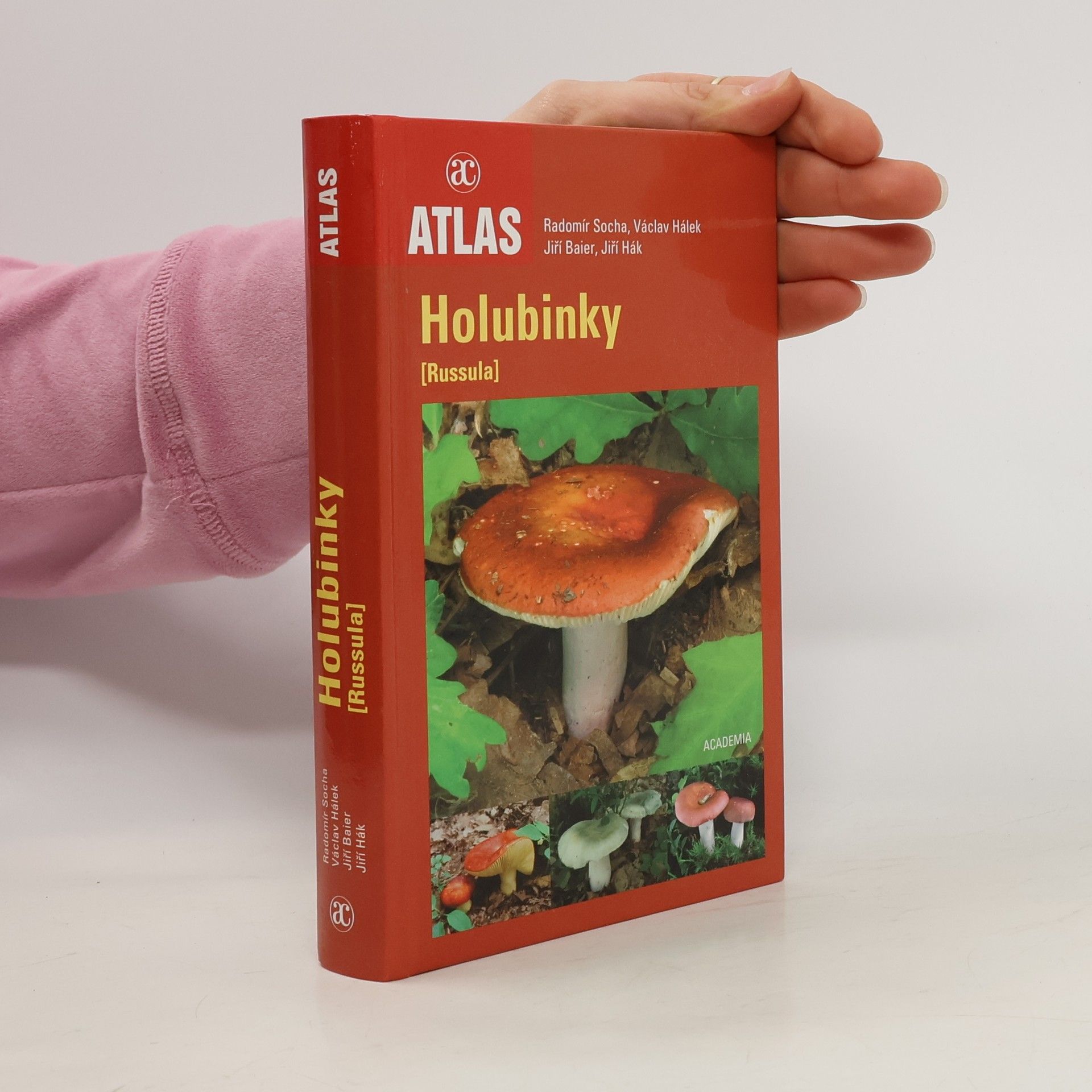 Radomír Socha Holubinky = (Russula)
