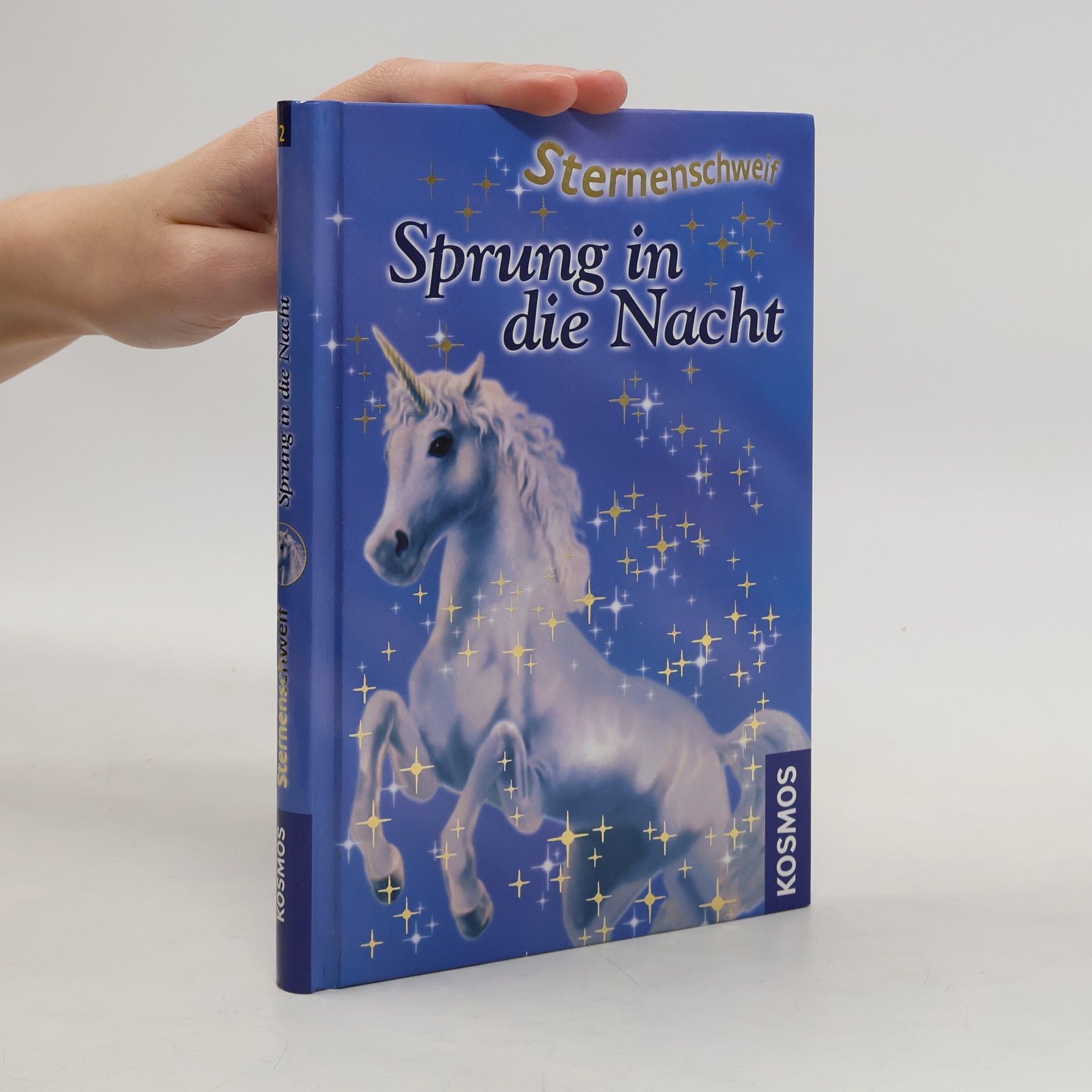 Linda Chapman Sprung in die Nacht