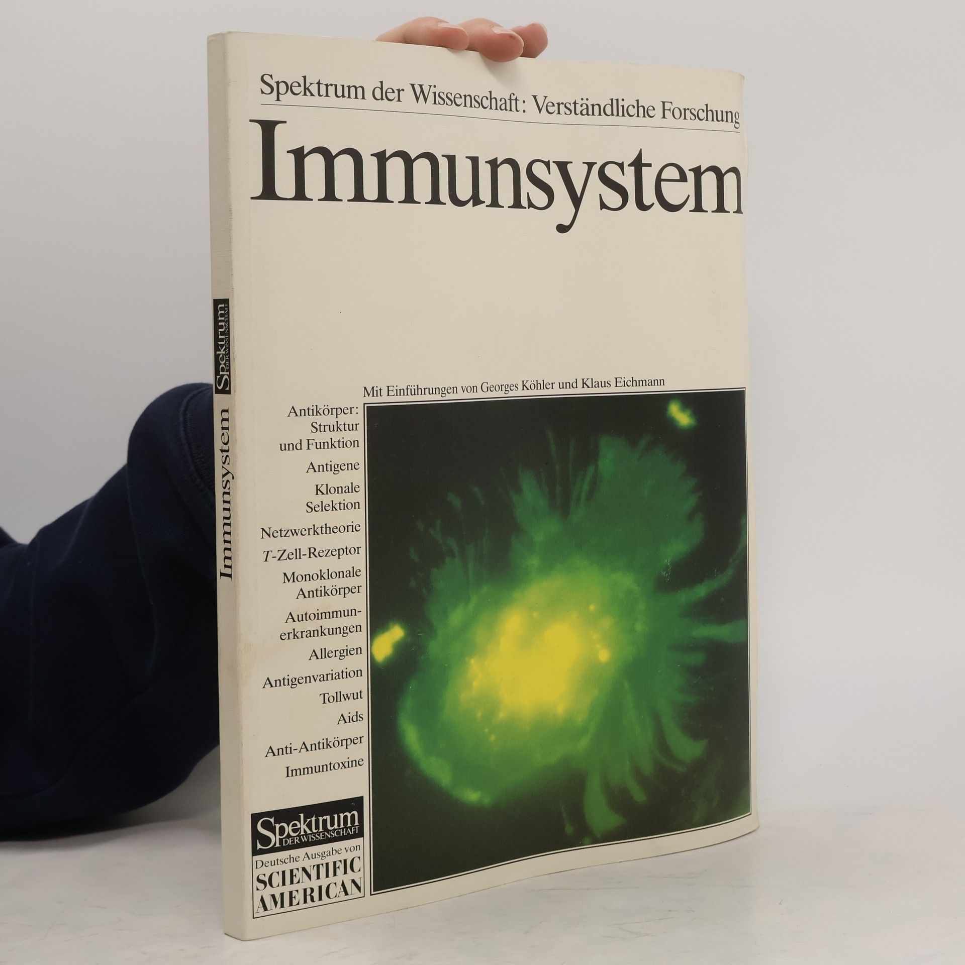 Immunsystem