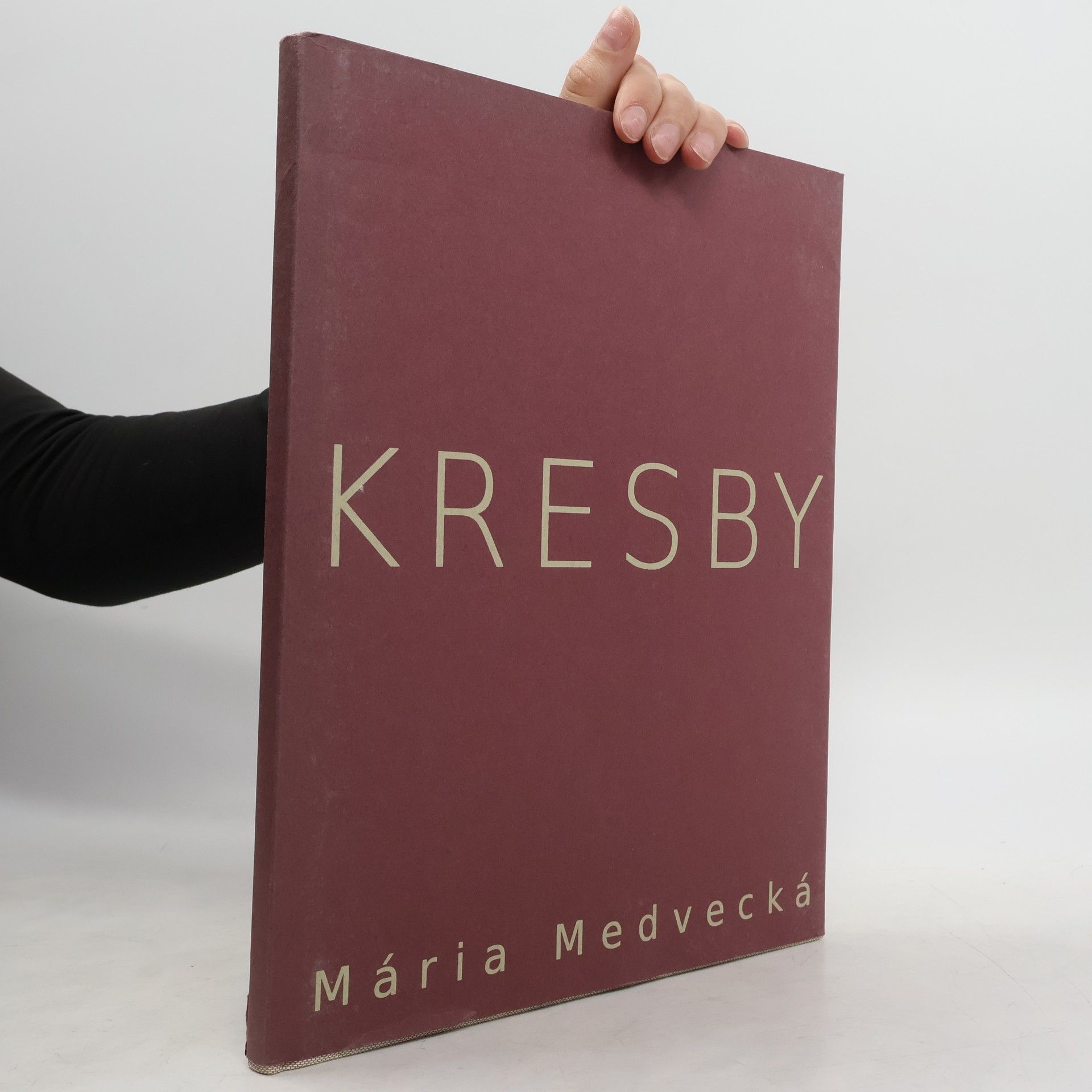 Mária Medvedecká Kresby