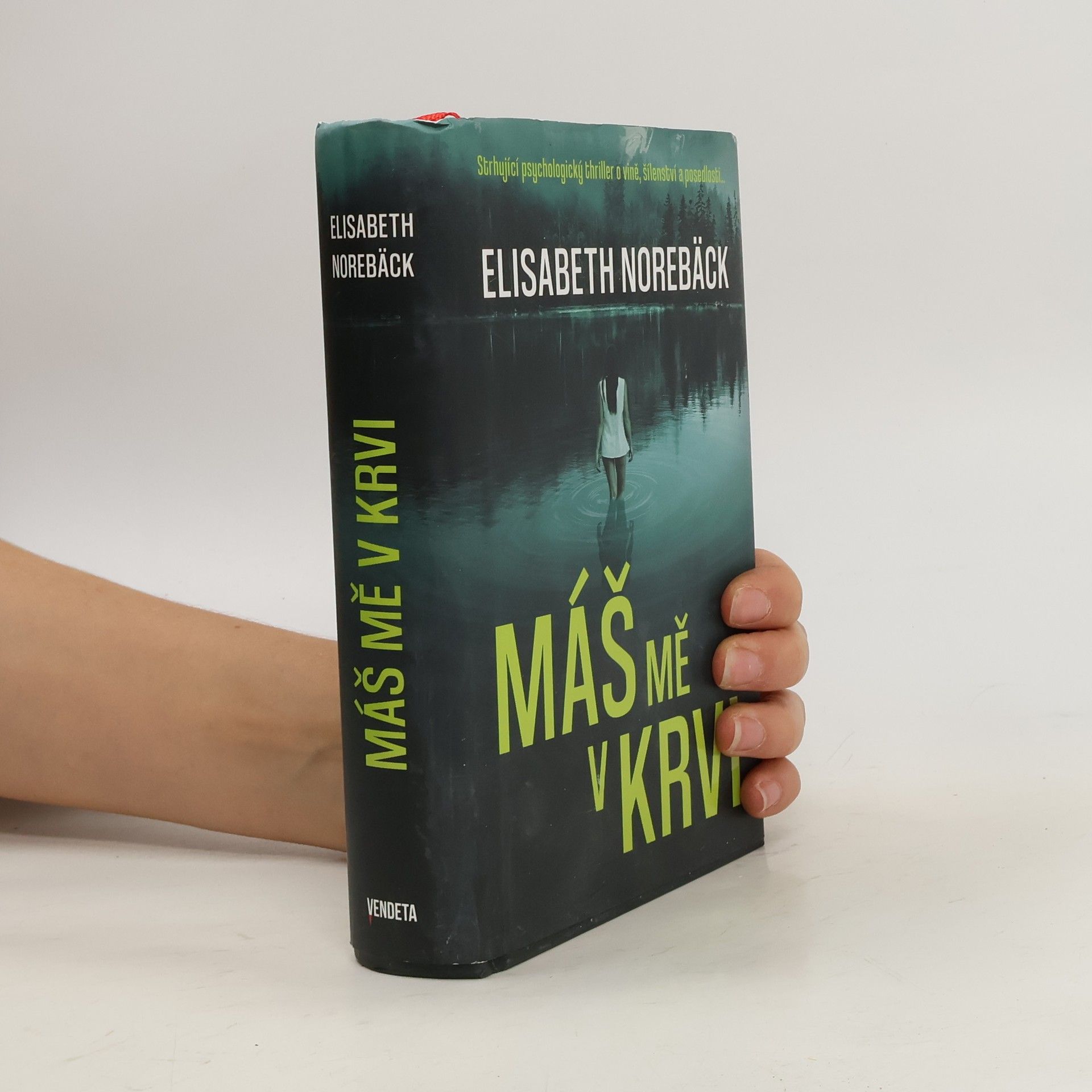 Elisabeth Norebäck Máš mě v krvi