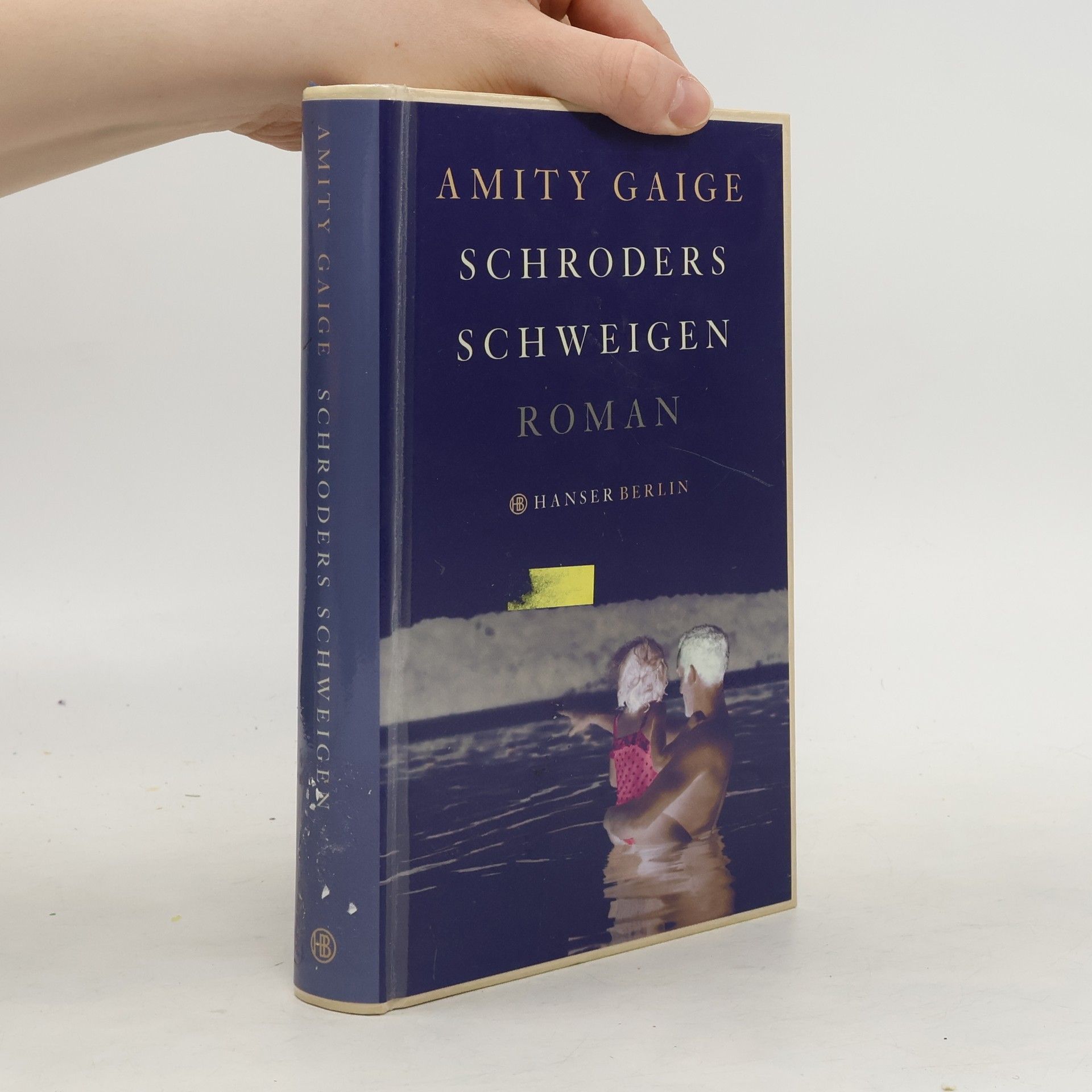 Amity Gaige Schroders Schweigen