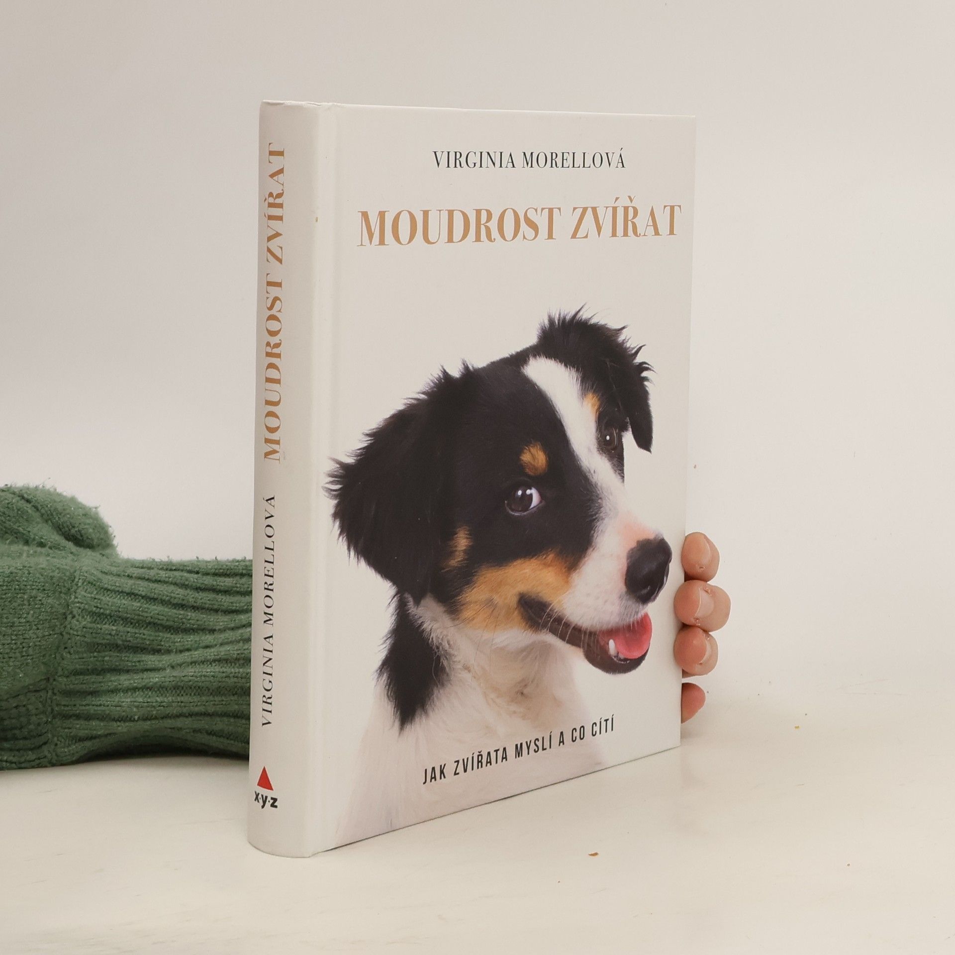 Virginia Morell Moudrost zvířat - Jak zvířata myslí a co cítí