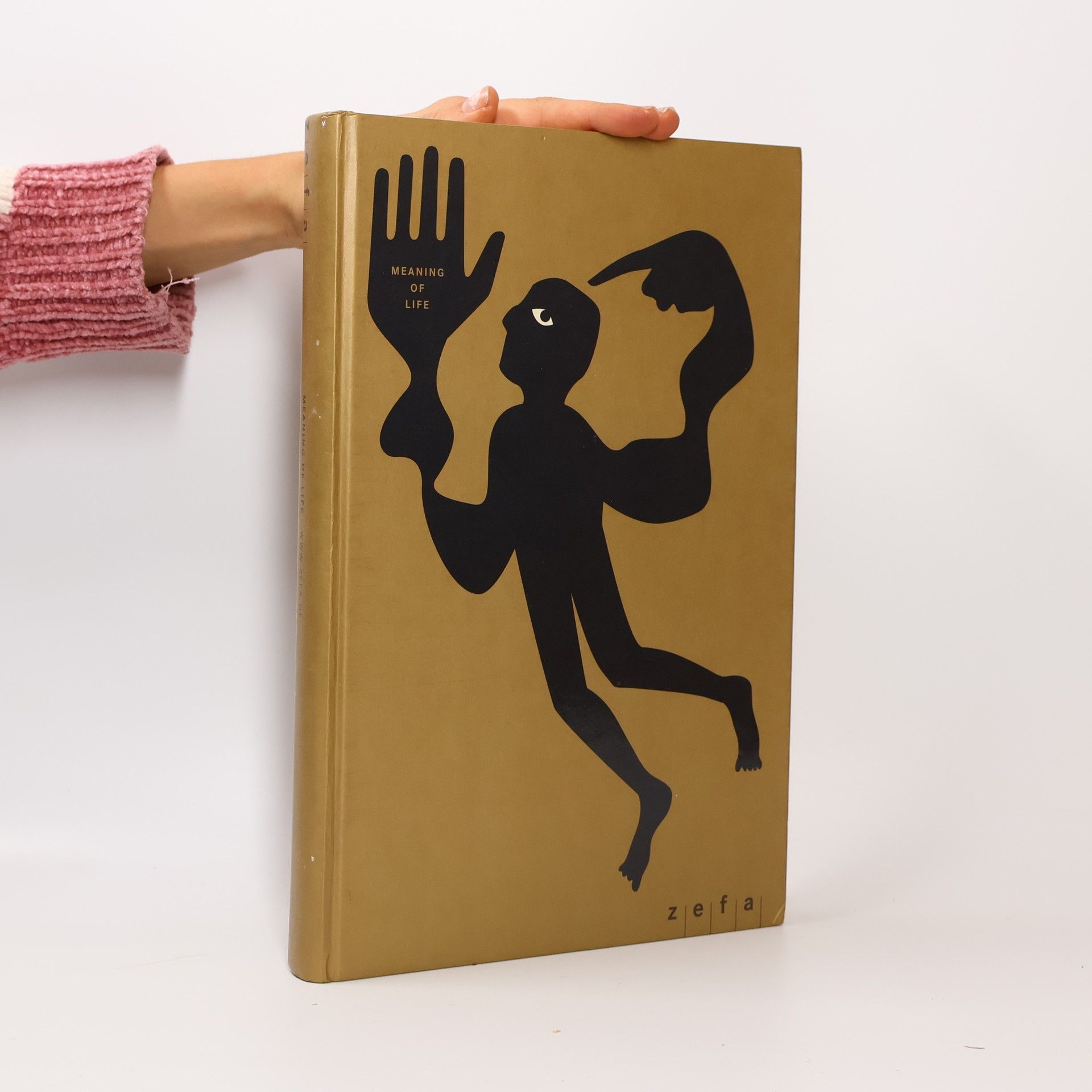 AA.VV. Meaning of life