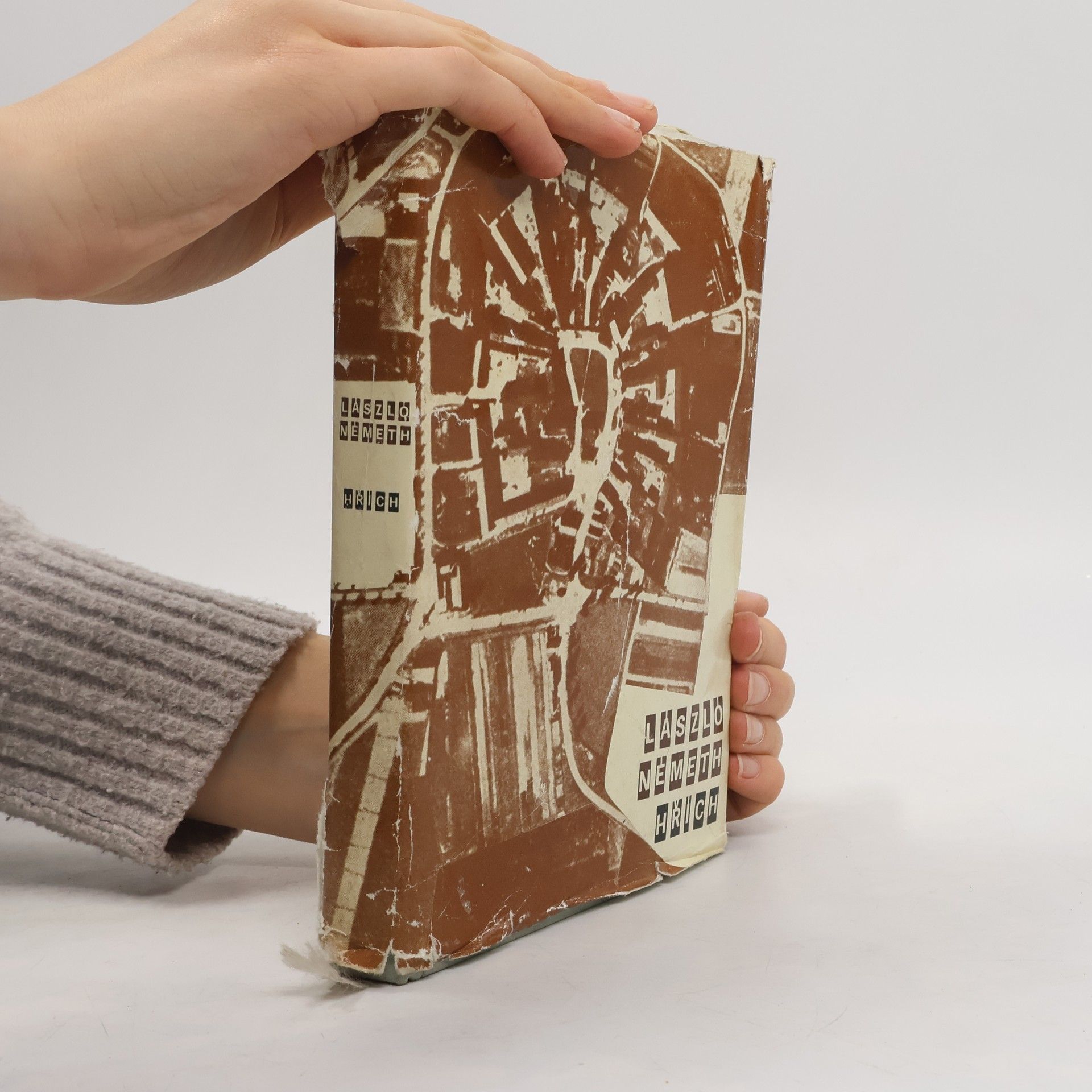 László Németh Hřích